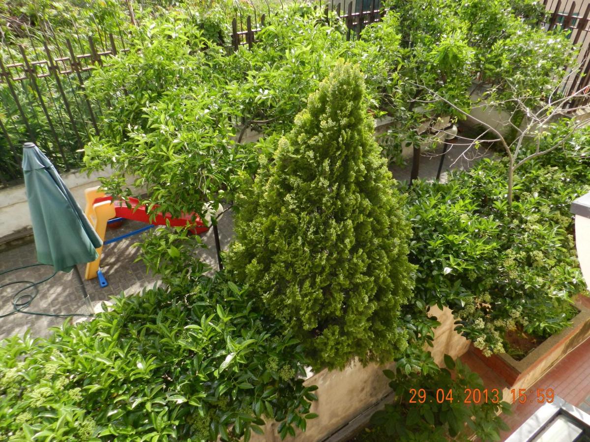 Photo 38