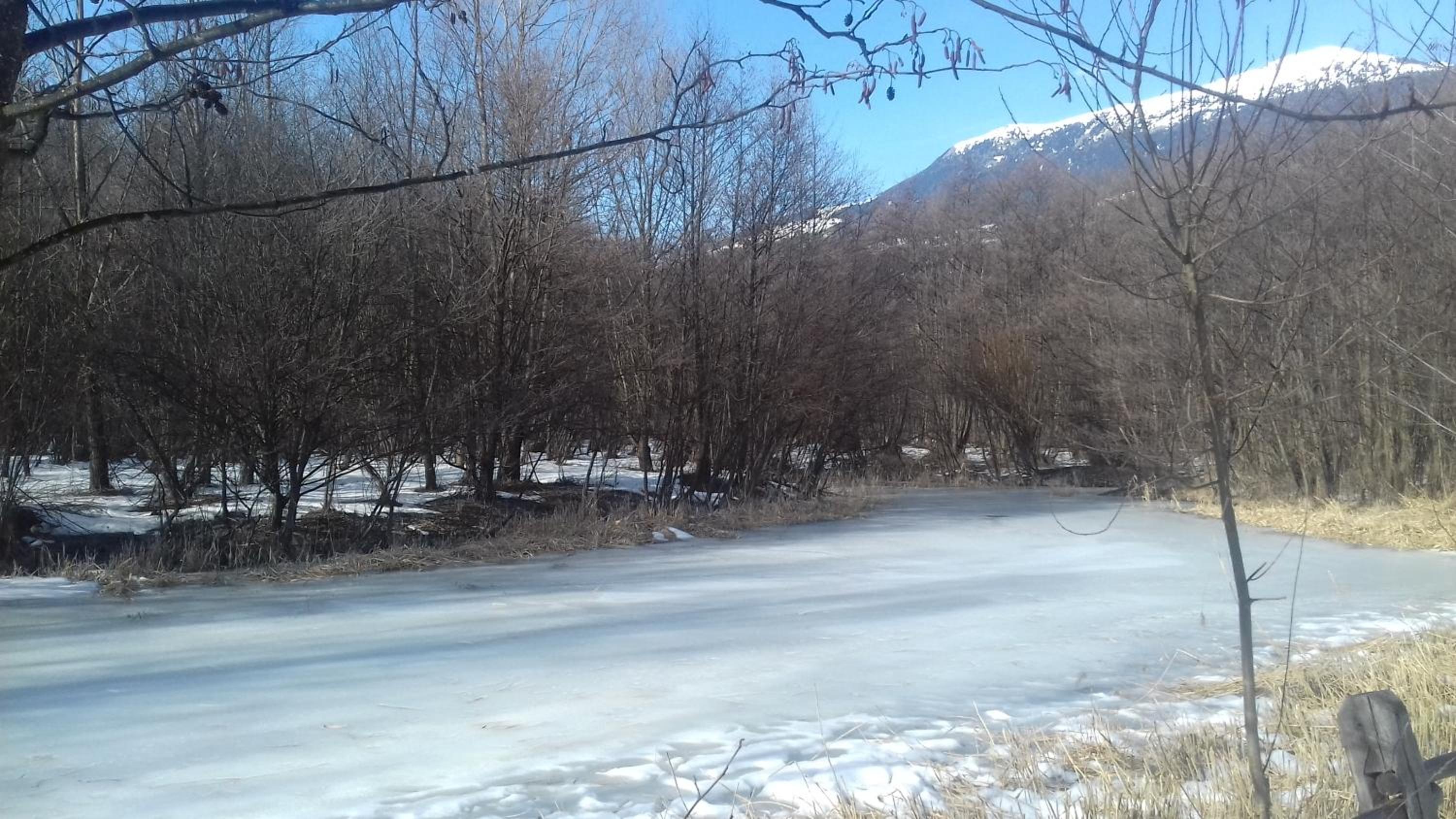 Photo 40