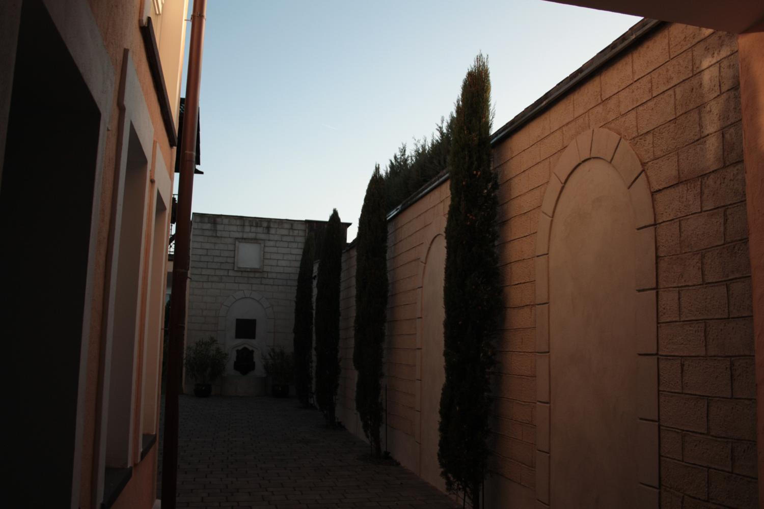 Photo 8
