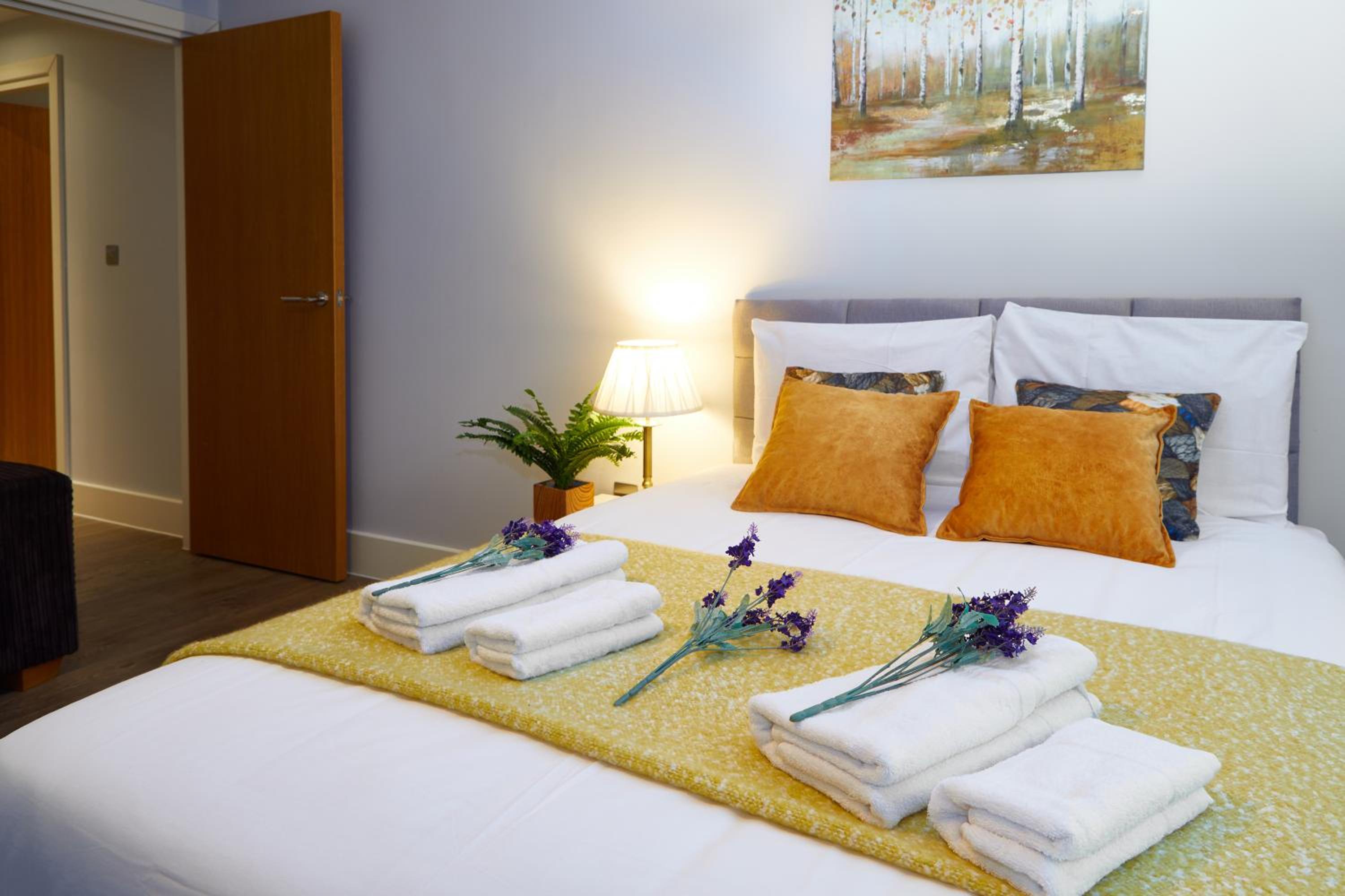Elegant Plus Luxury Apartments