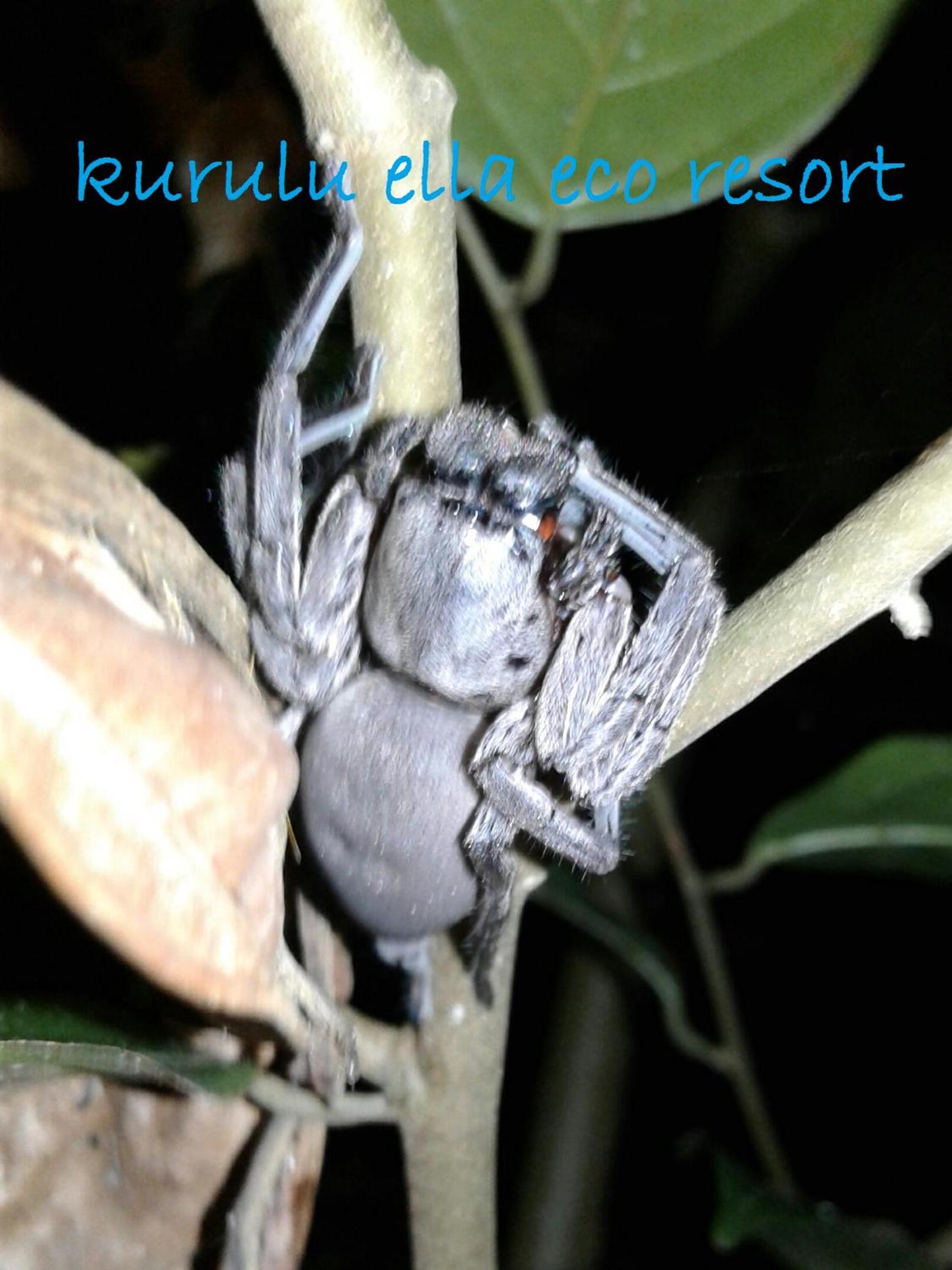 Photo 21