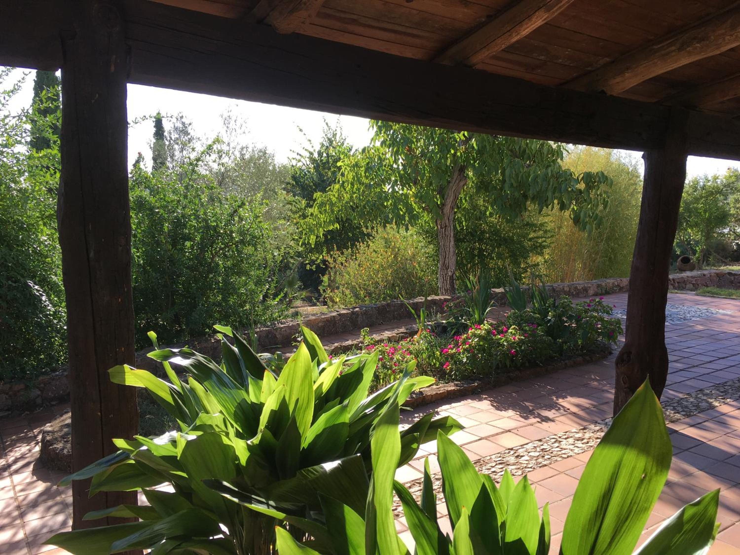Photo 14