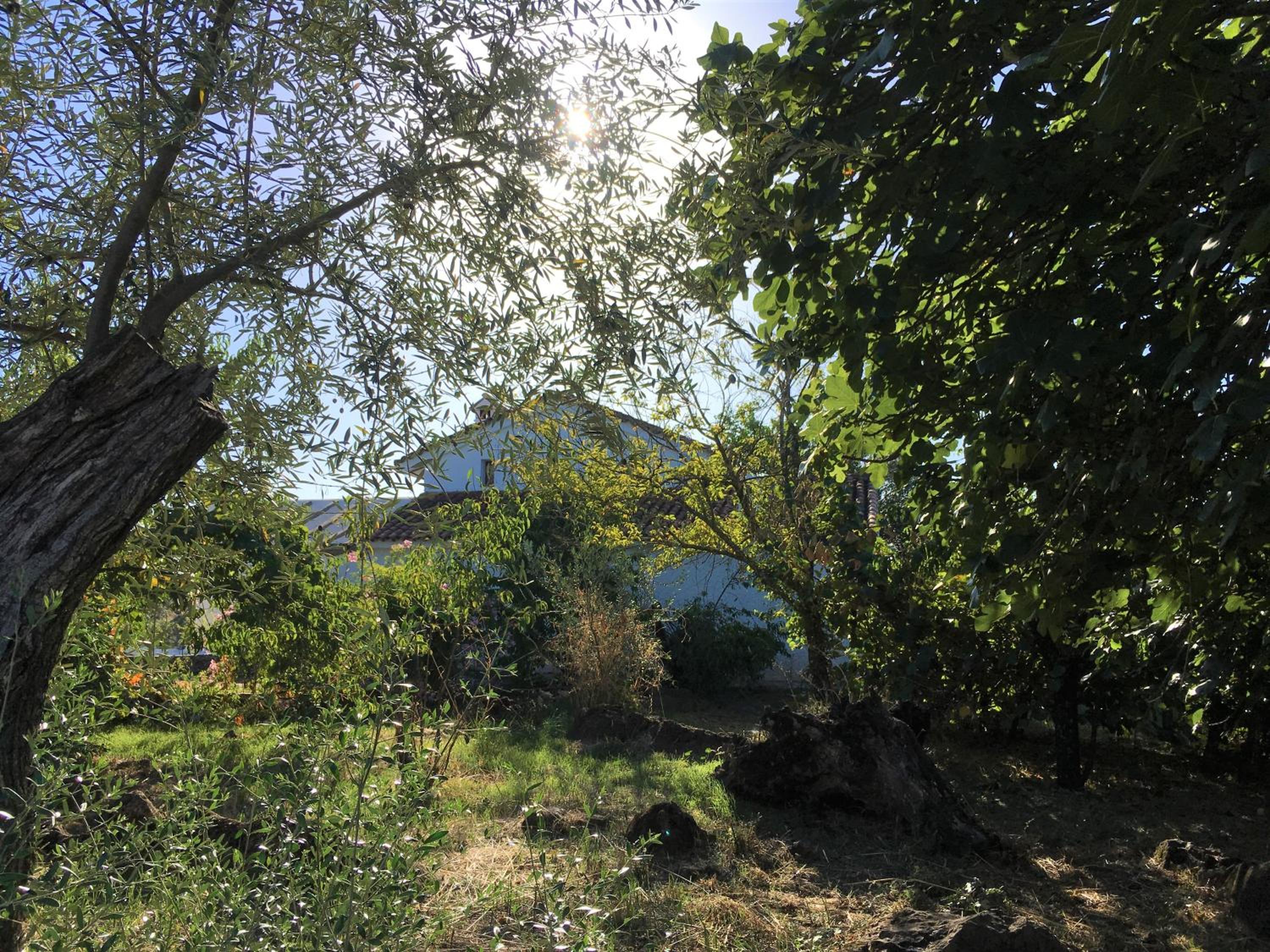 Photo 8