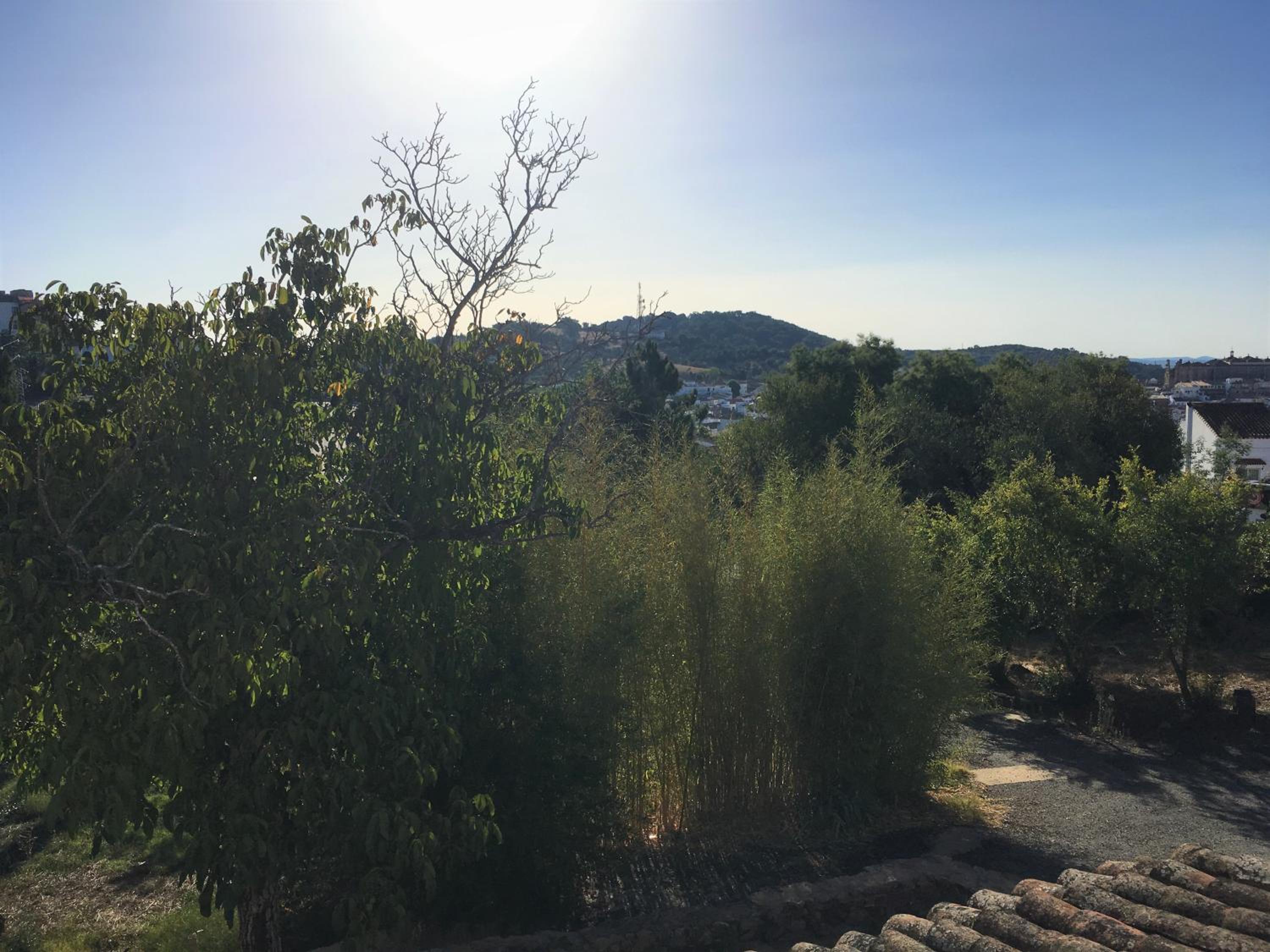 Finca Horno de Cal view 5