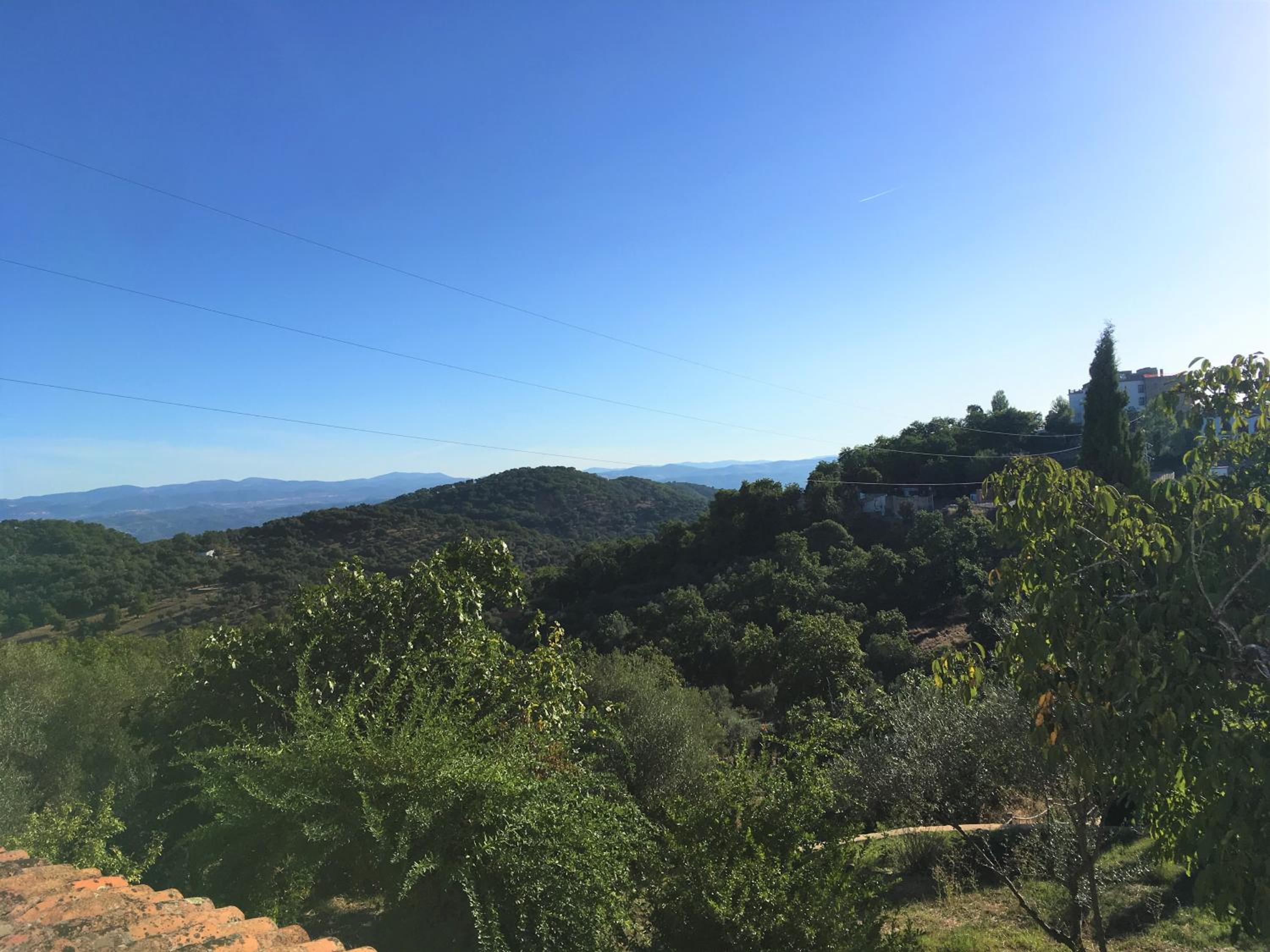 Finca Horno de Cal view 4