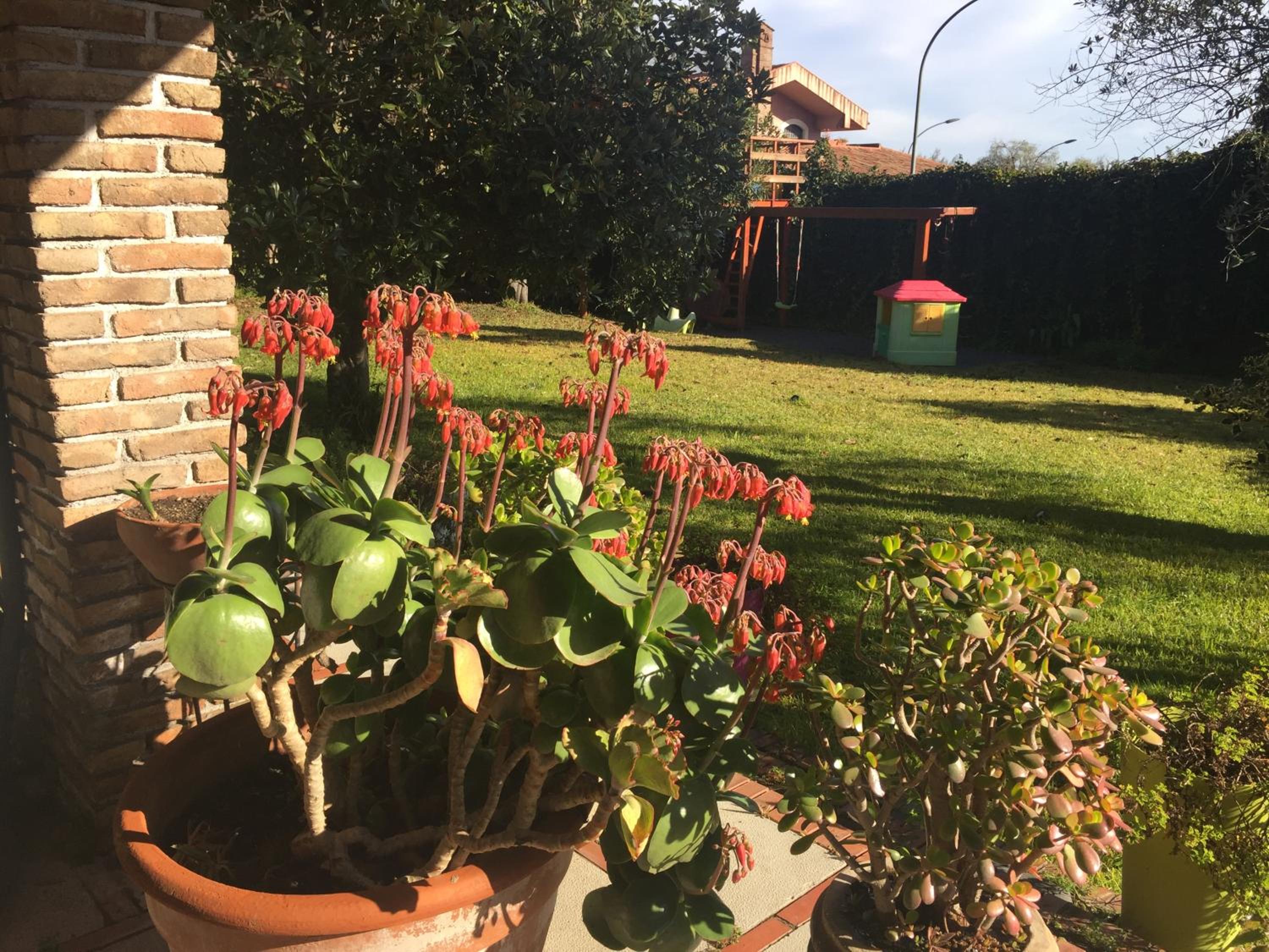Ottomood B&B and Apartments
