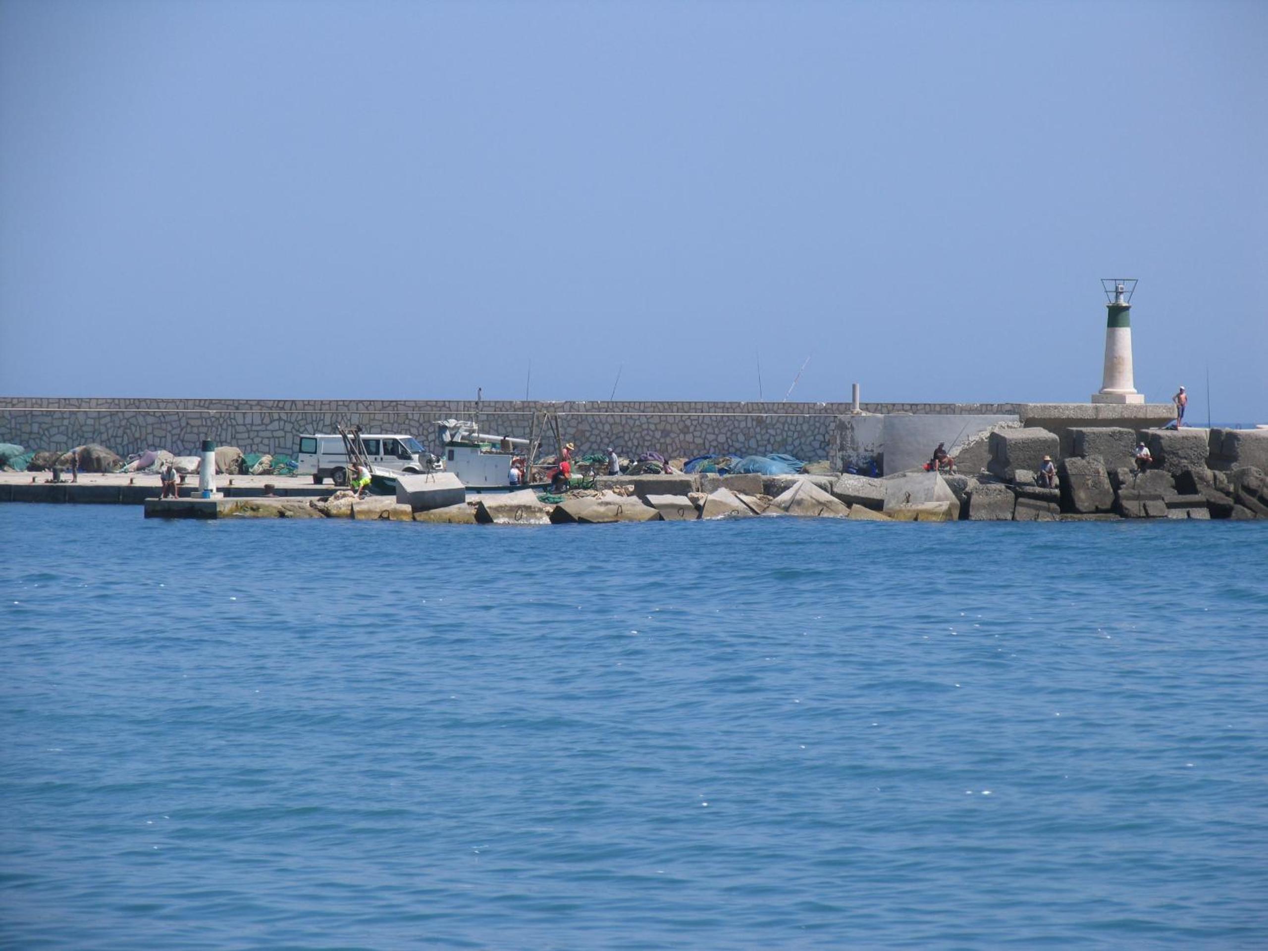 Photo 11
