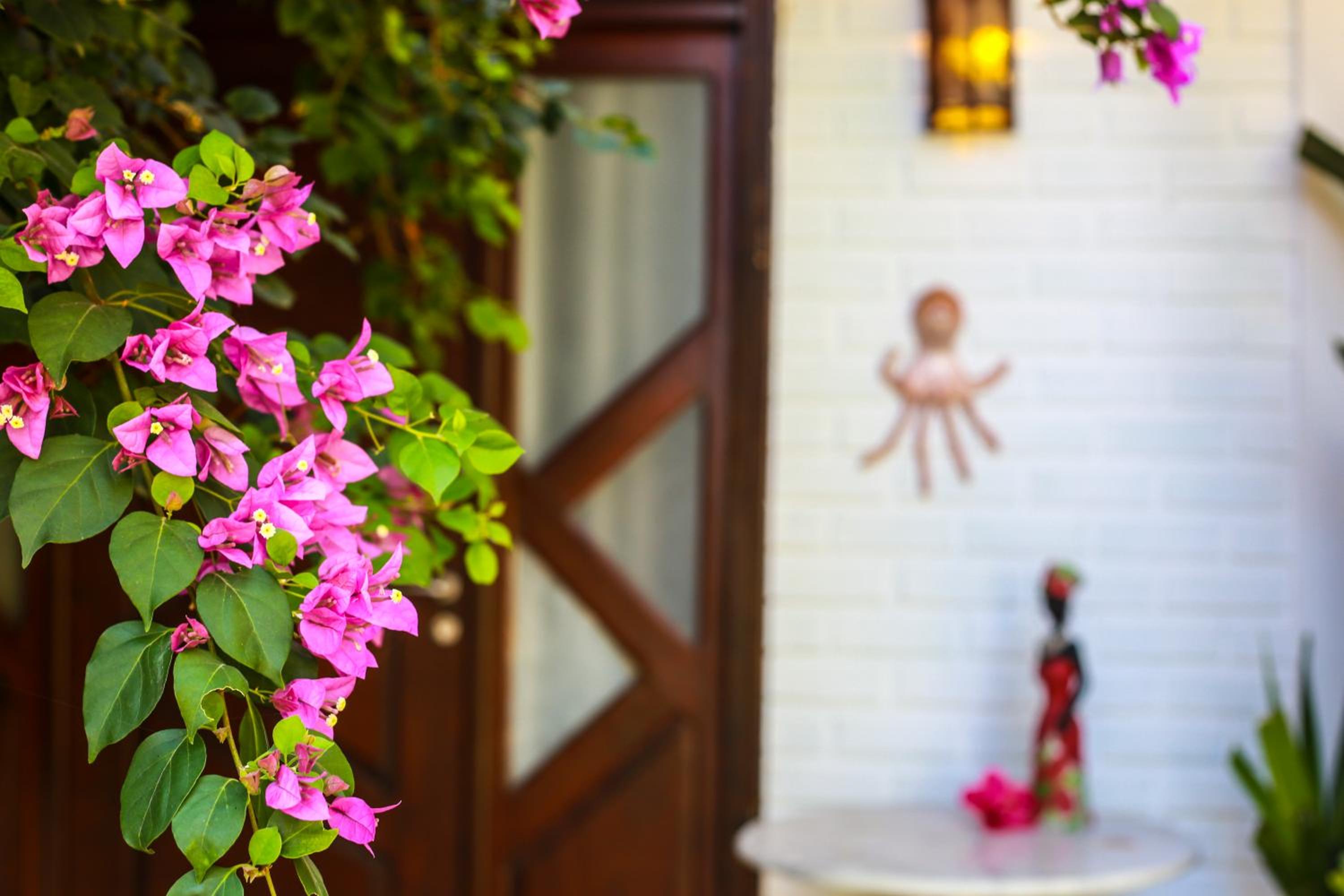 Oceana Suites Villas de Tibau