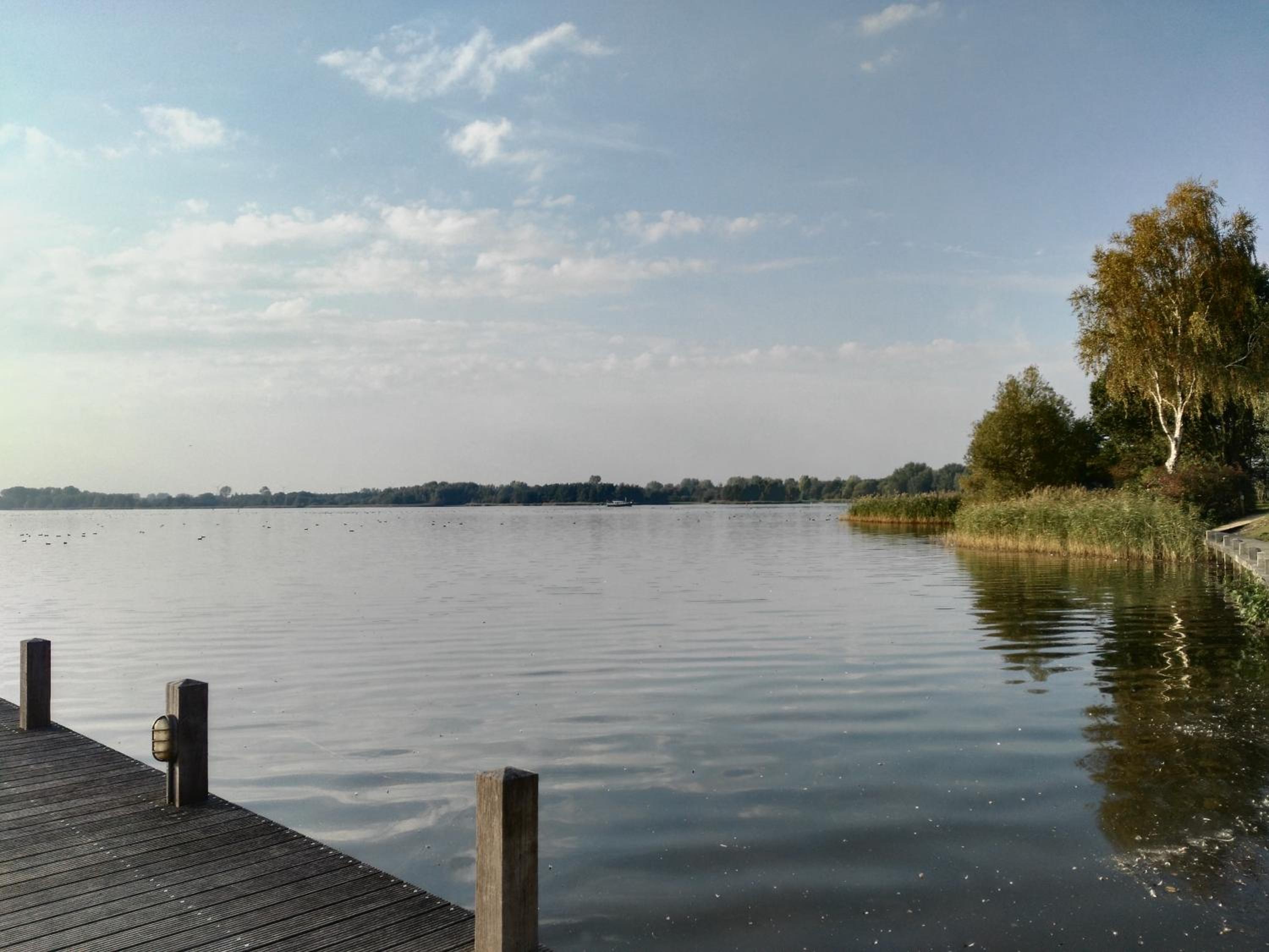 Photo 46
