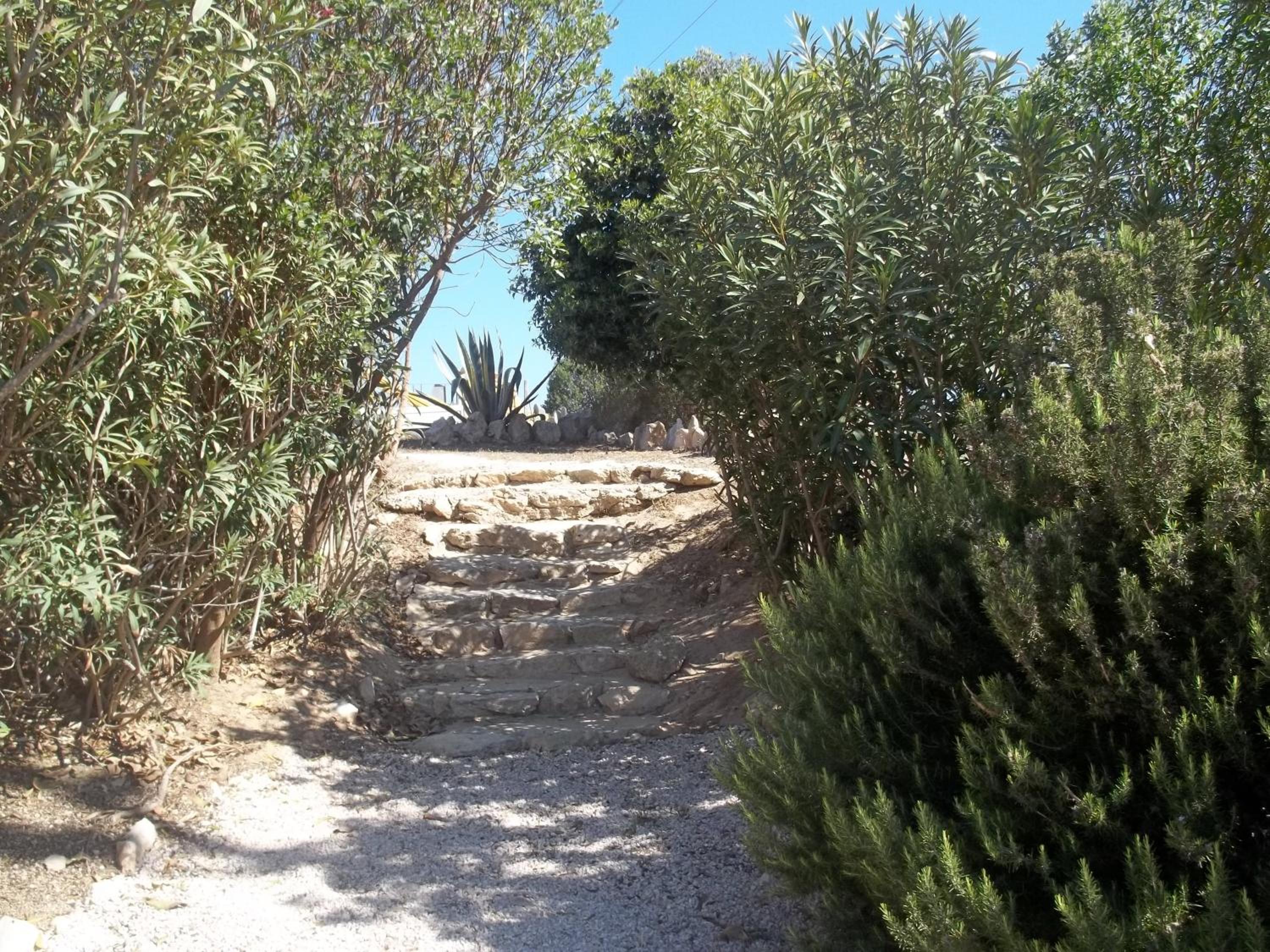 Photo 44
