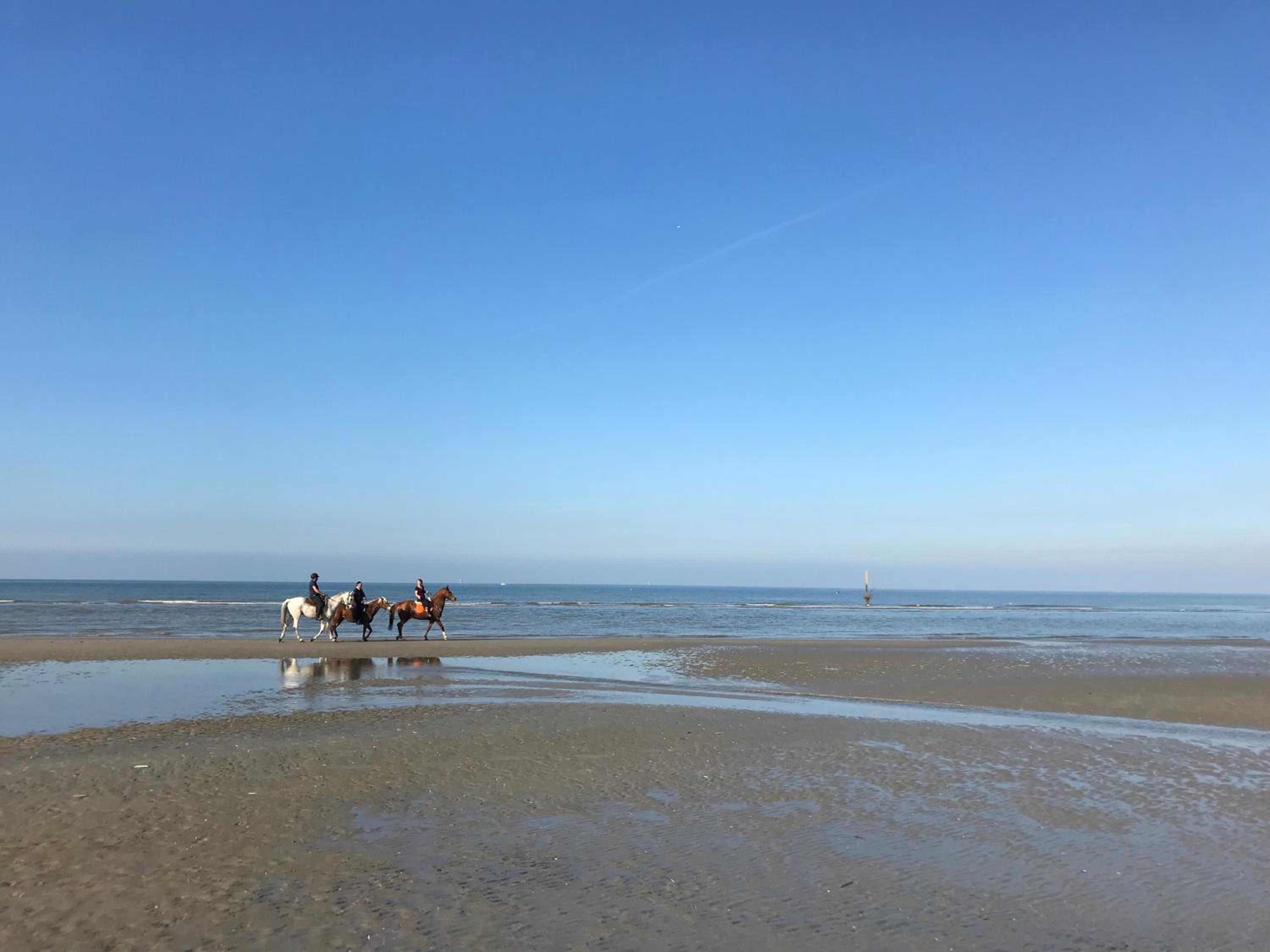Koksijde Zeedijk Res Manh