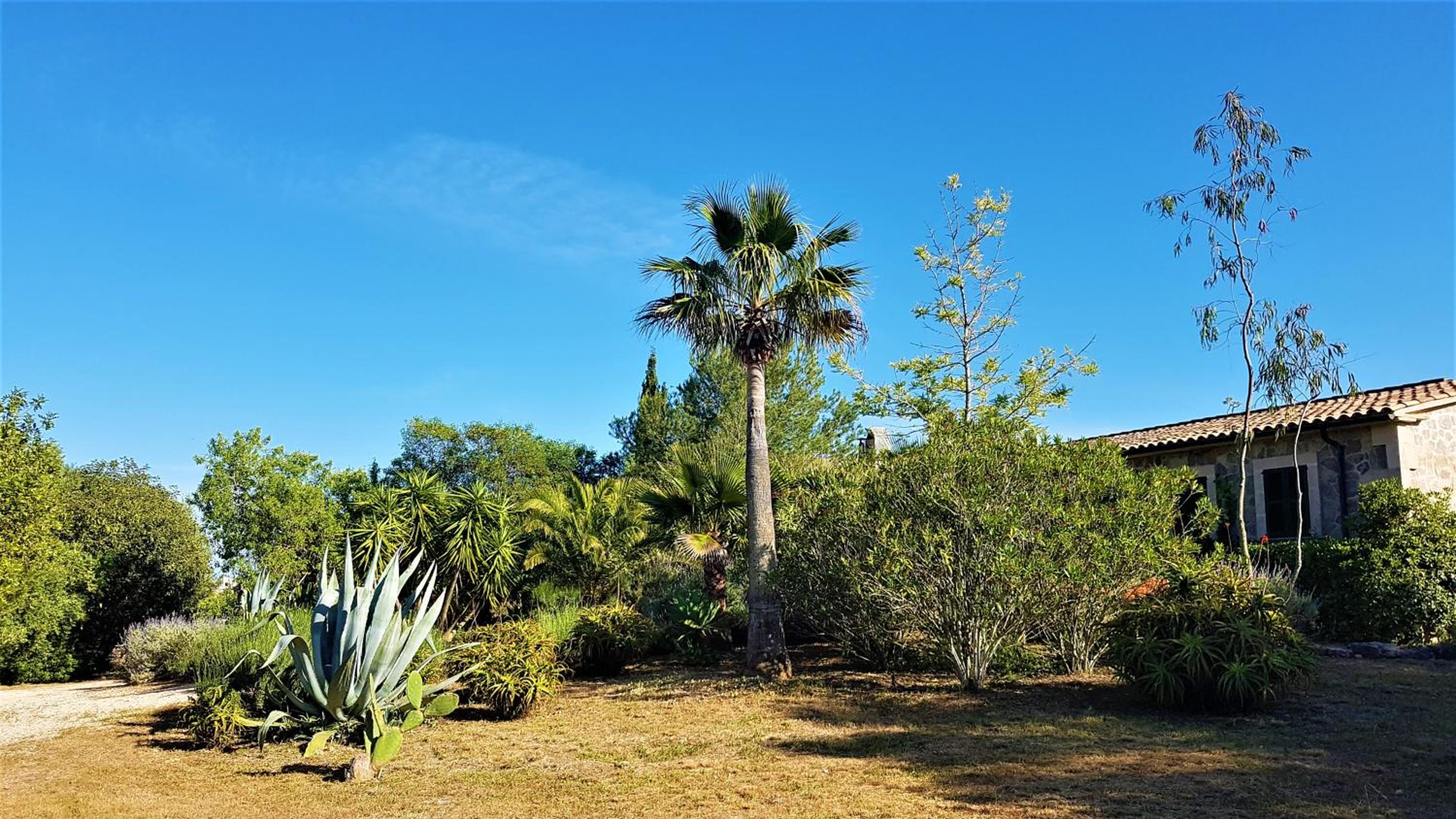 Photo 48
