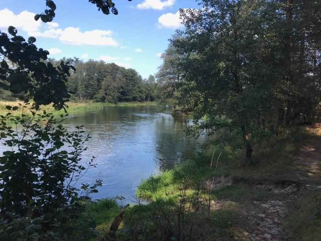 Zacisze Leśne nad Pilicą