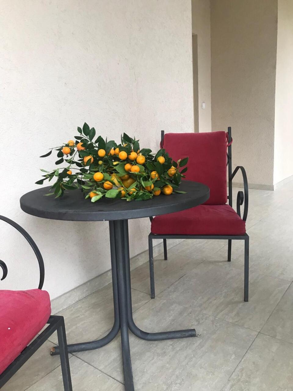 Studio Apartment Vukcevic