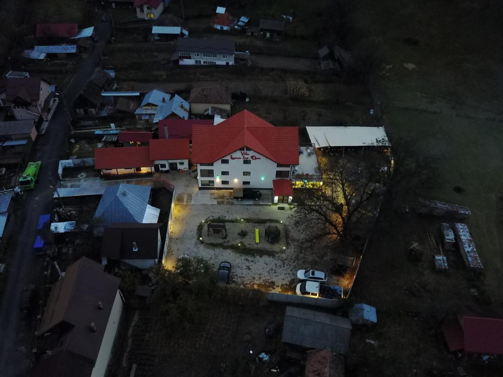 Lunca lui Dan view 2