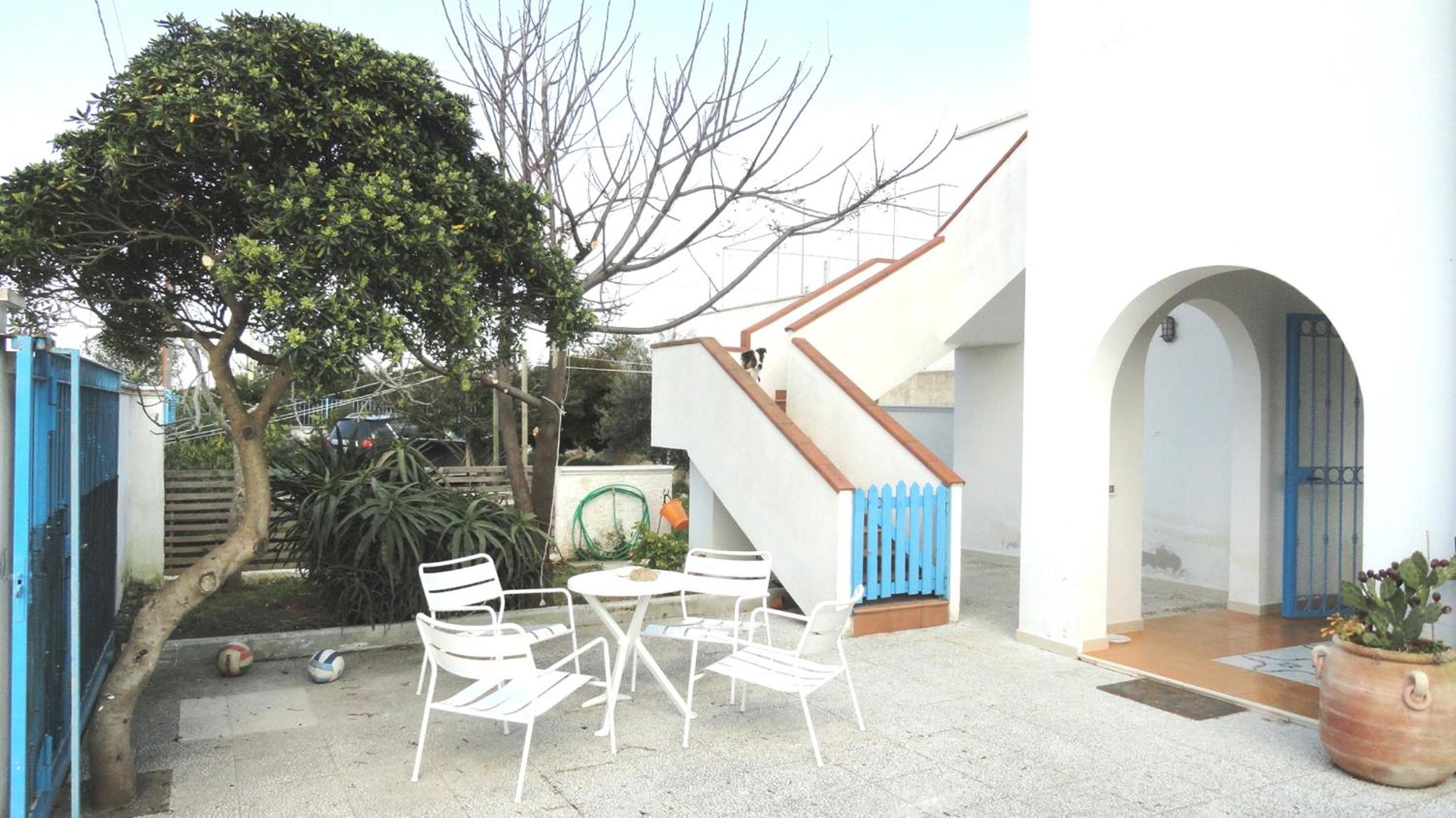 Photo 17
