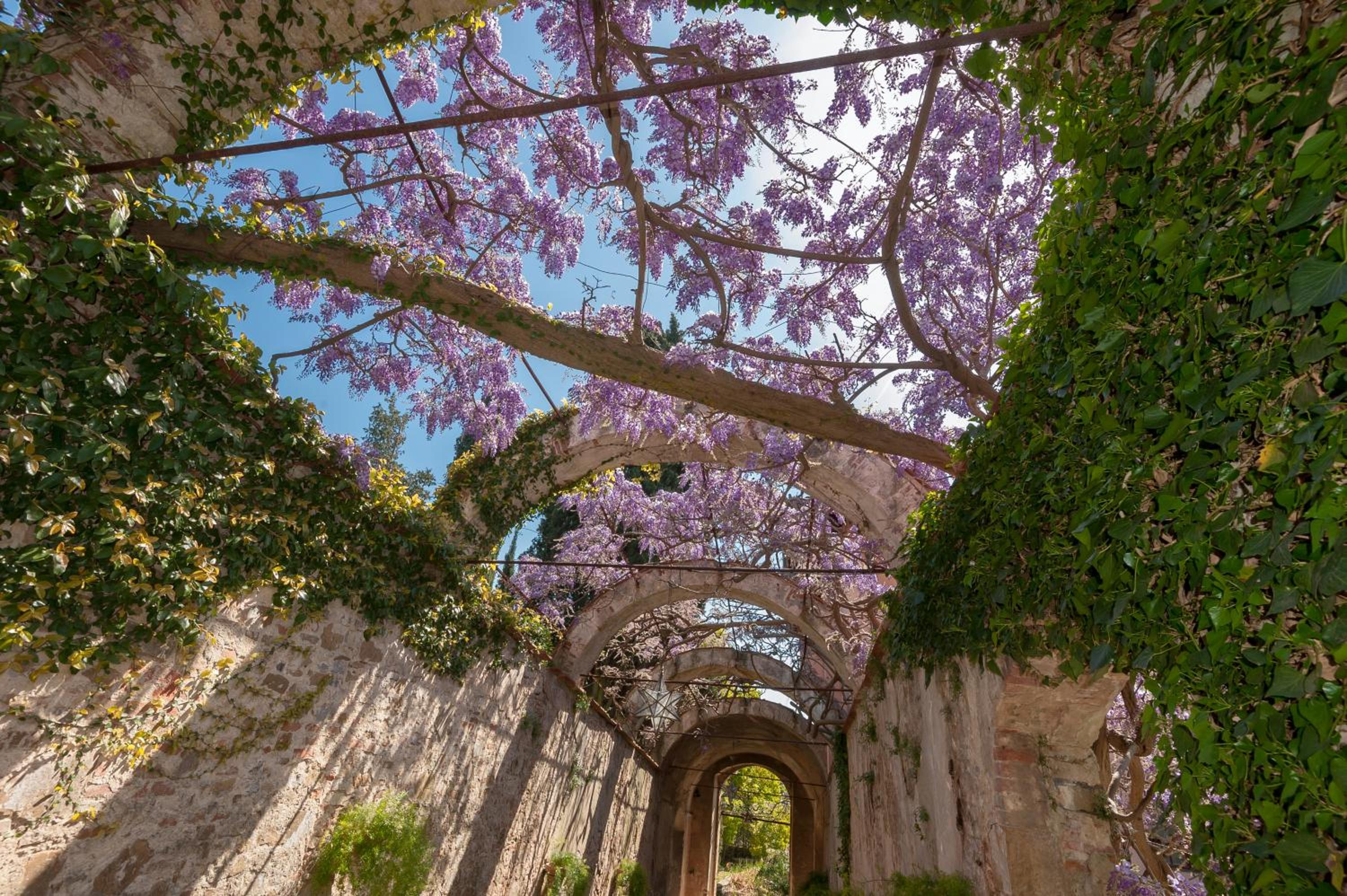 Casa Rosa