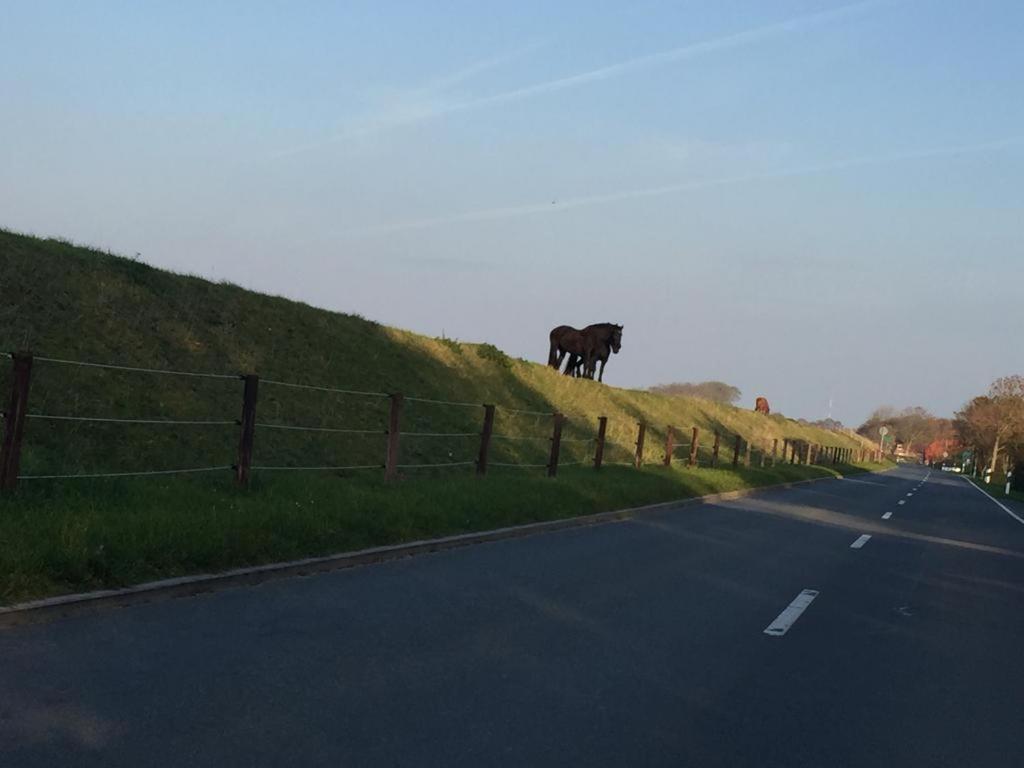 Ferienwohnung schöner Ausblick