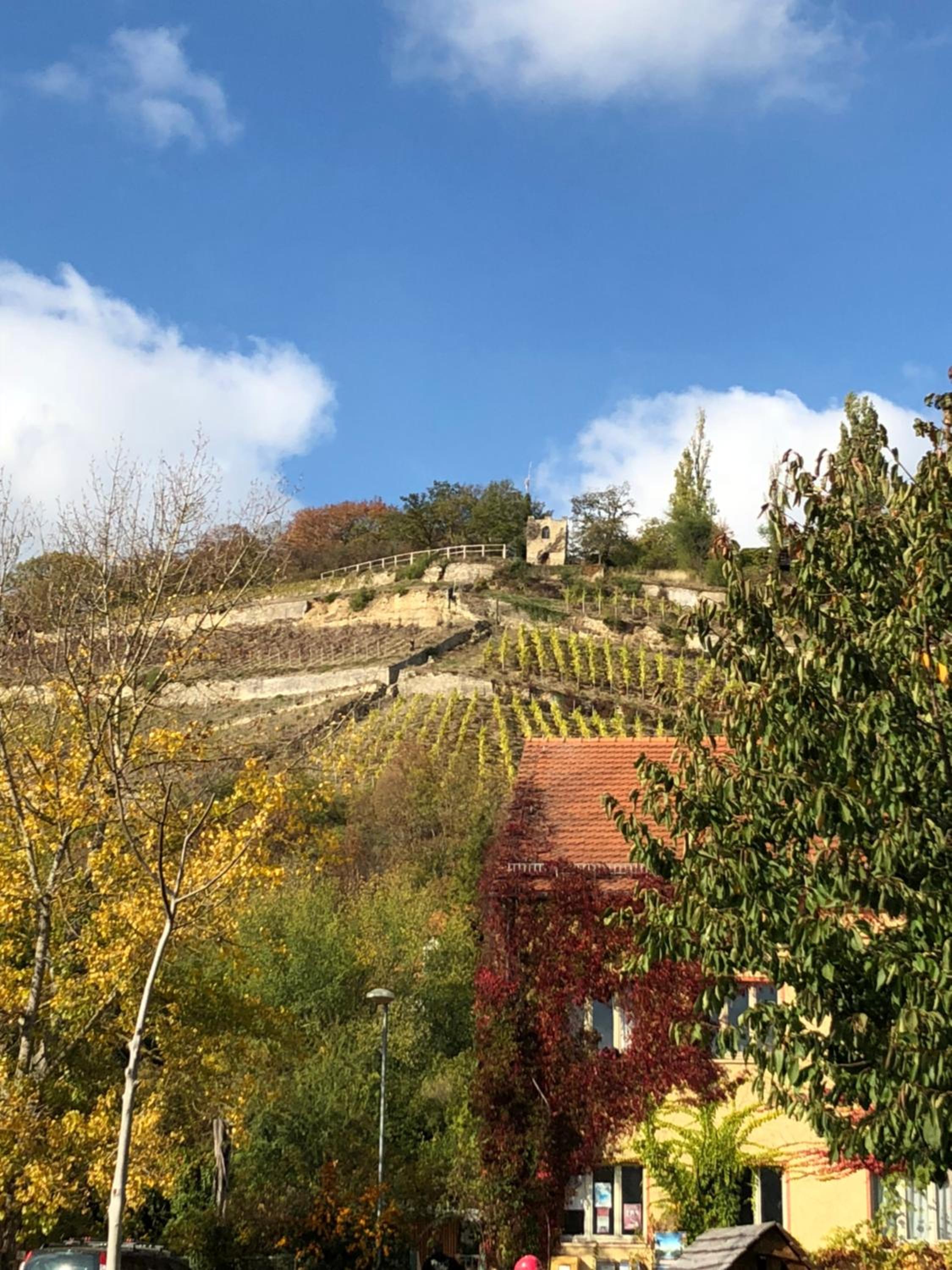 Hotel garni Zum Rebstock
