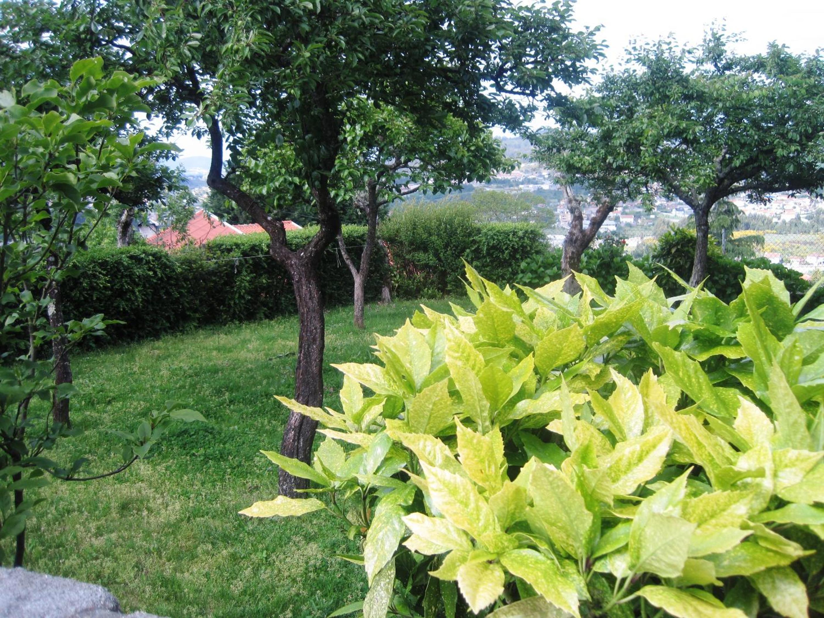 Photo 32