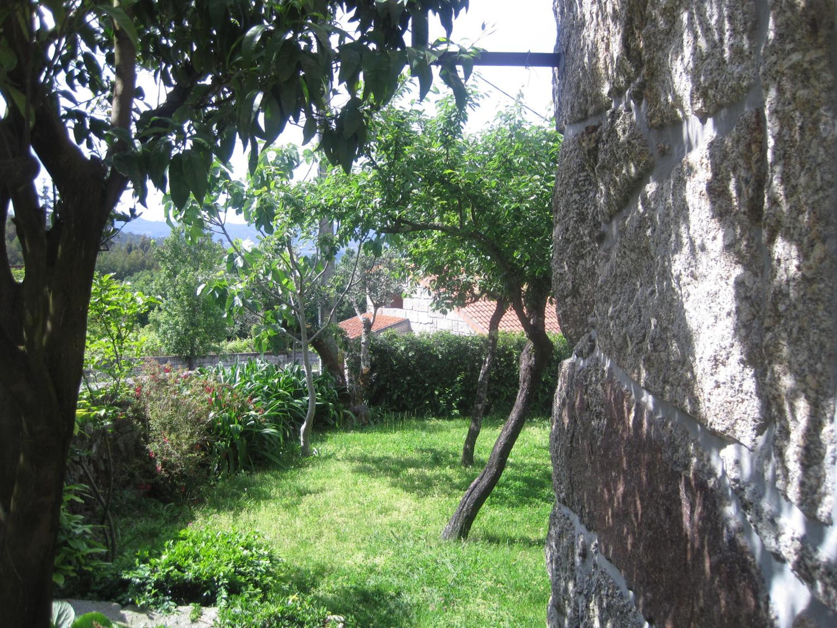 Photo 33