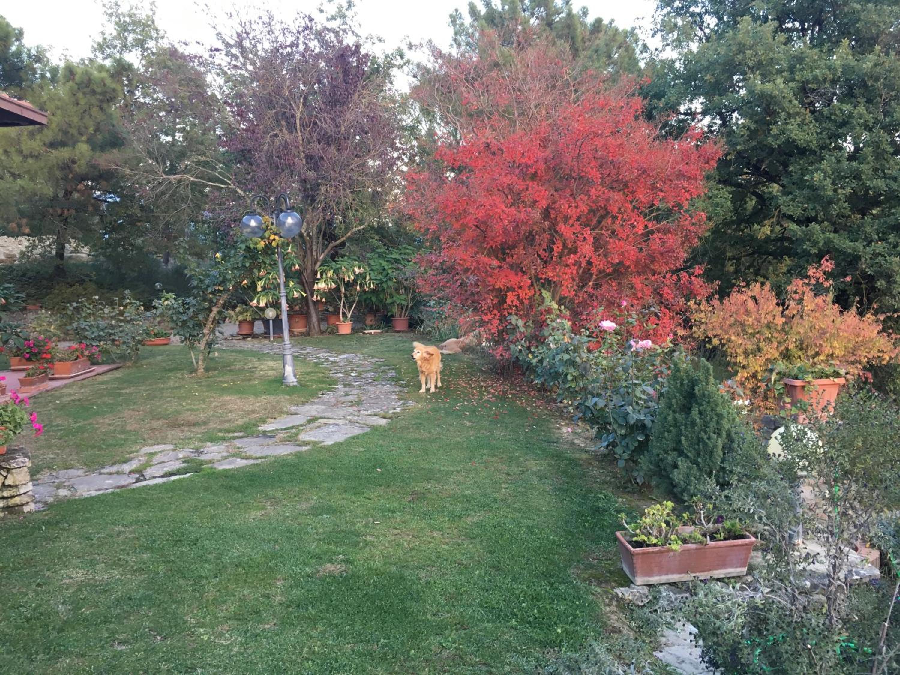 Photo 11