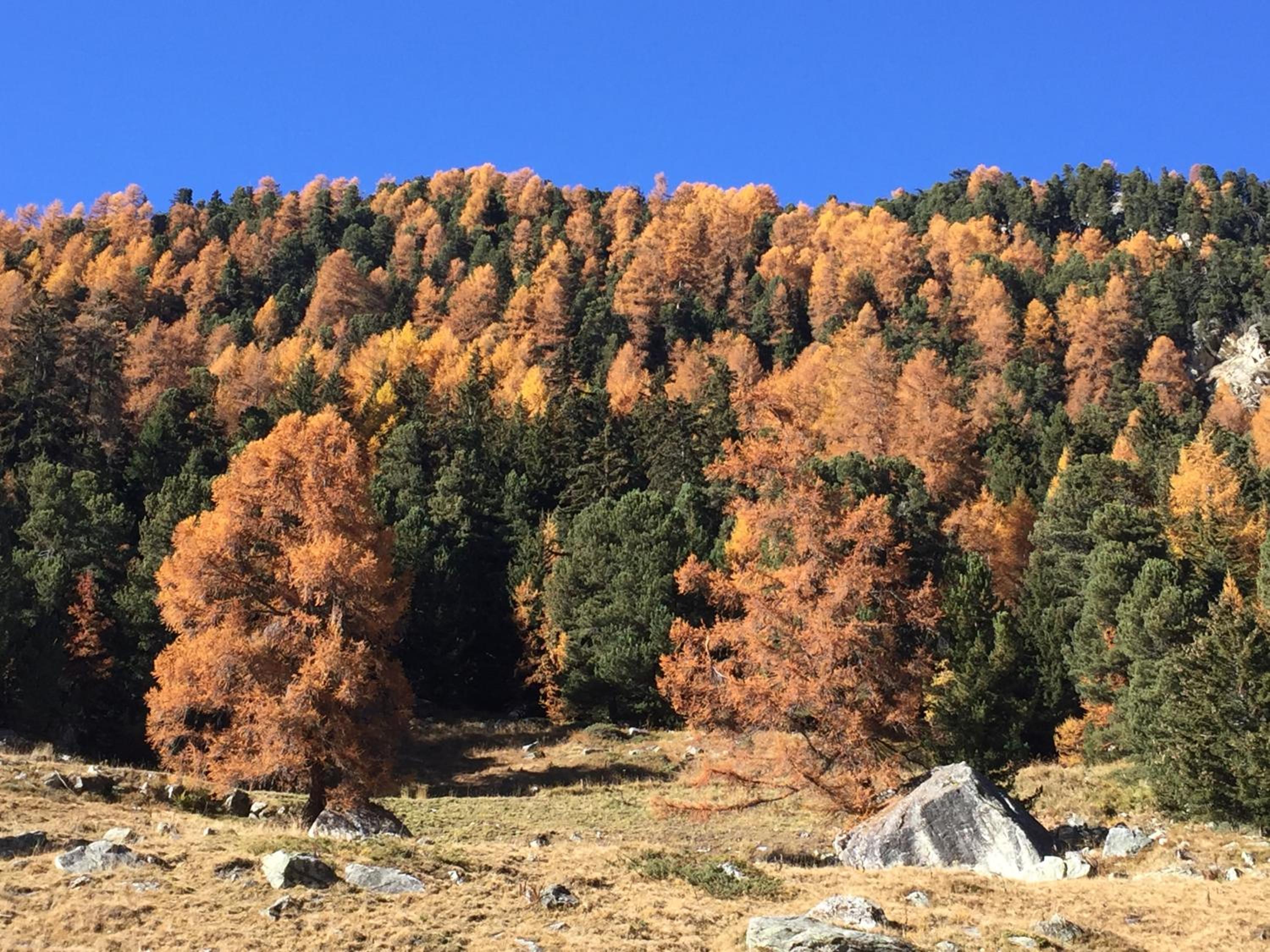 Chalet E Toue