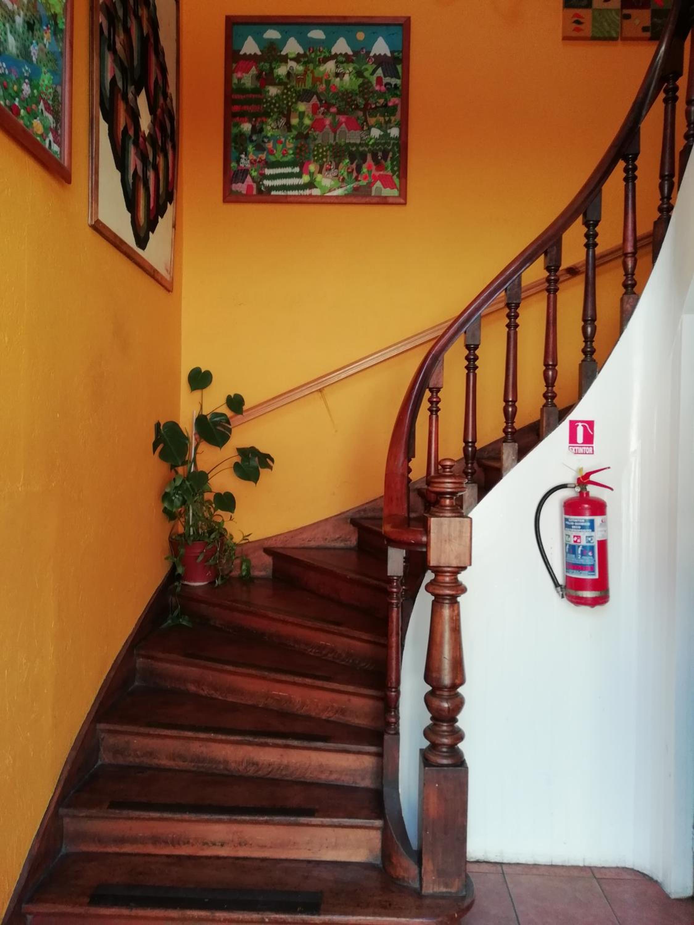 Photo 42