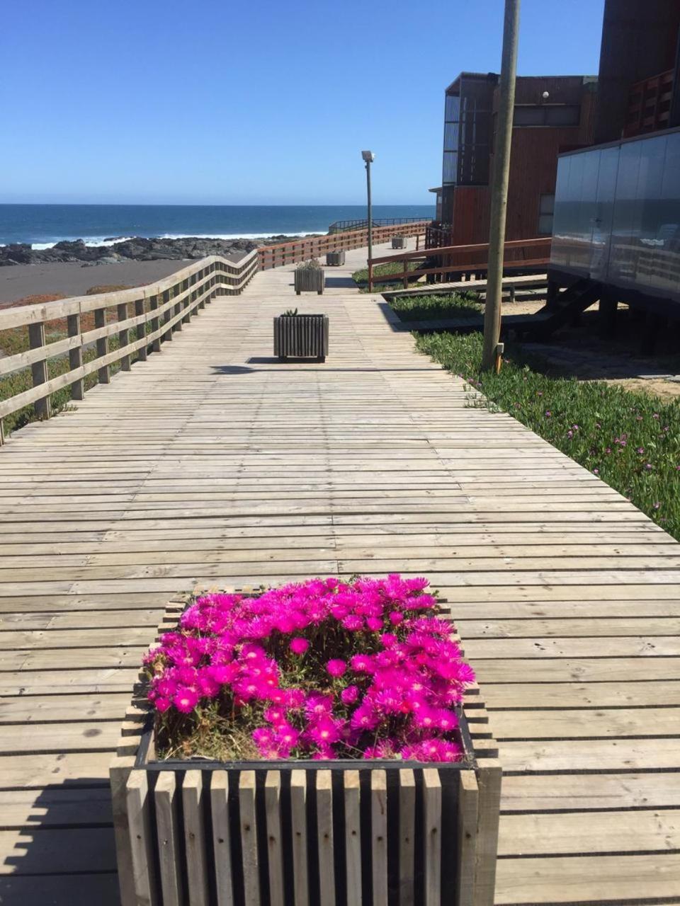 Pichilemu Loft 51