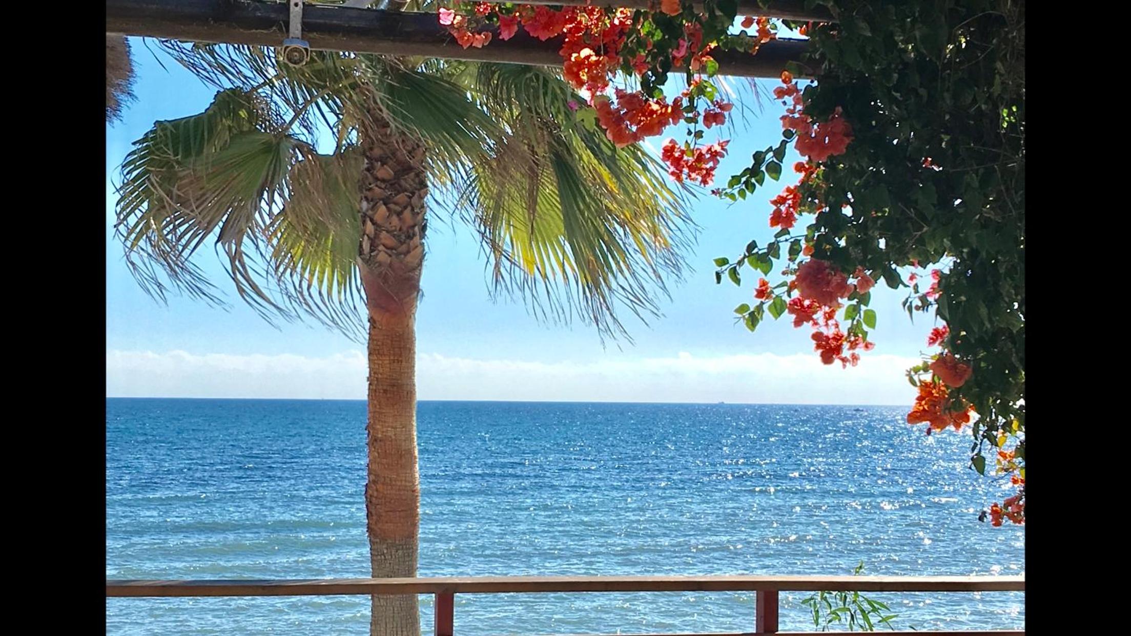 MI CAPRICHO 2F BEACHFRONT- Apartment with sea view - Costa del Sol view 5