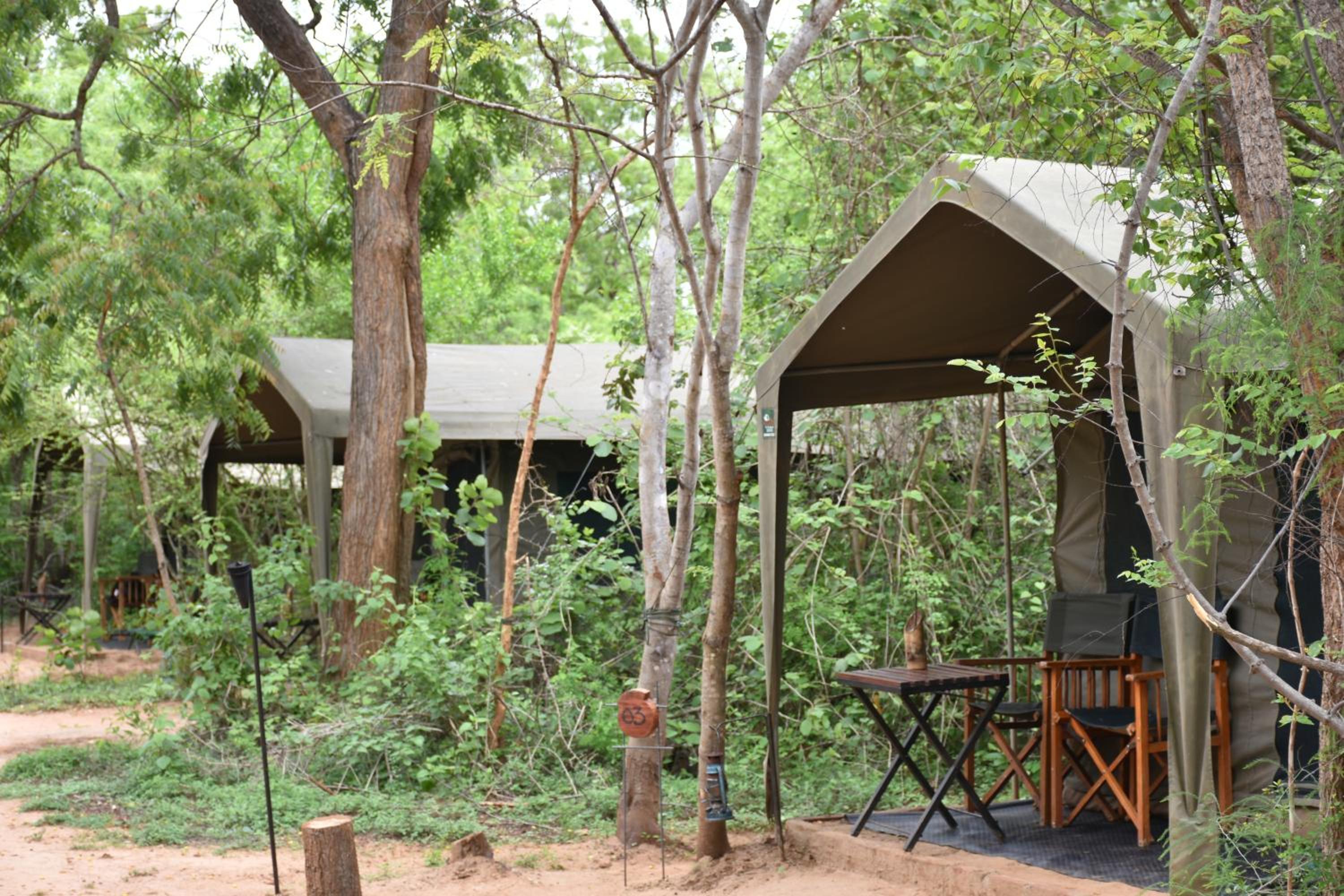 Big Game Yala - by Eco Team