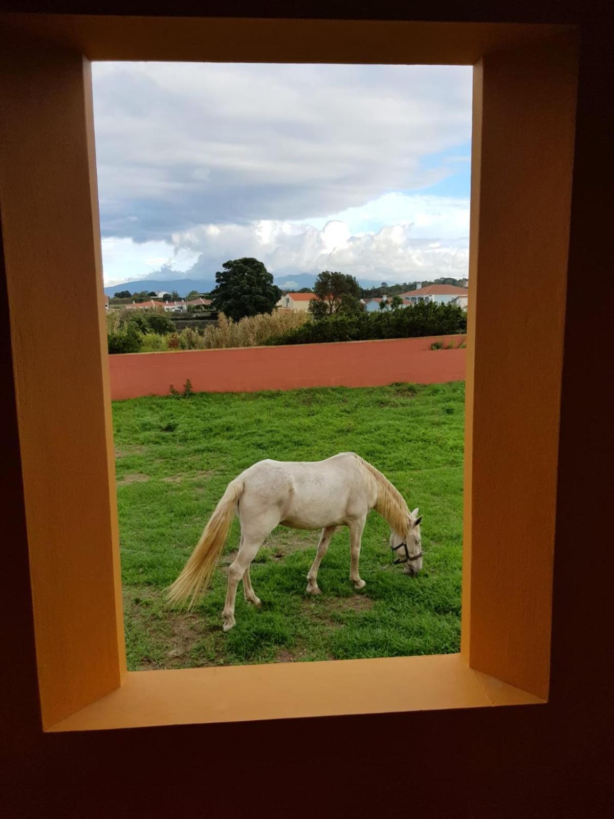Quinta da Falésia - Casa Amarela view 2