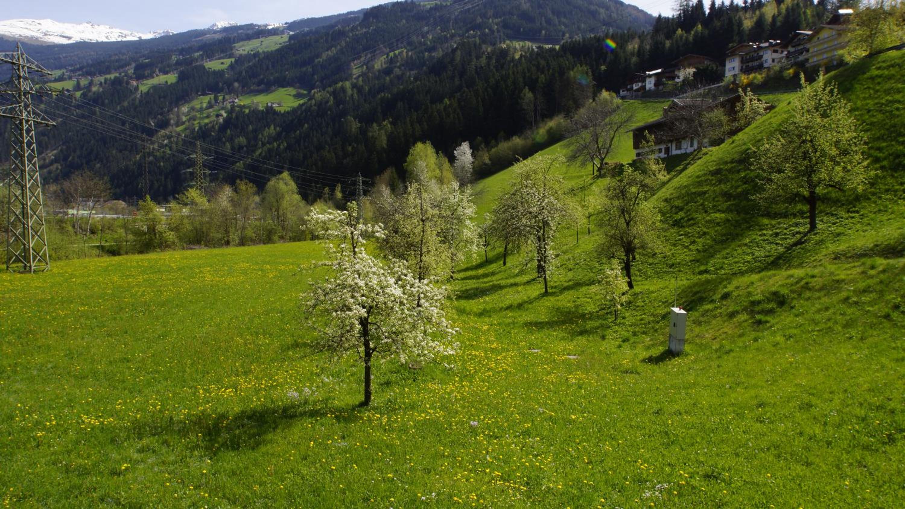 Photo 46