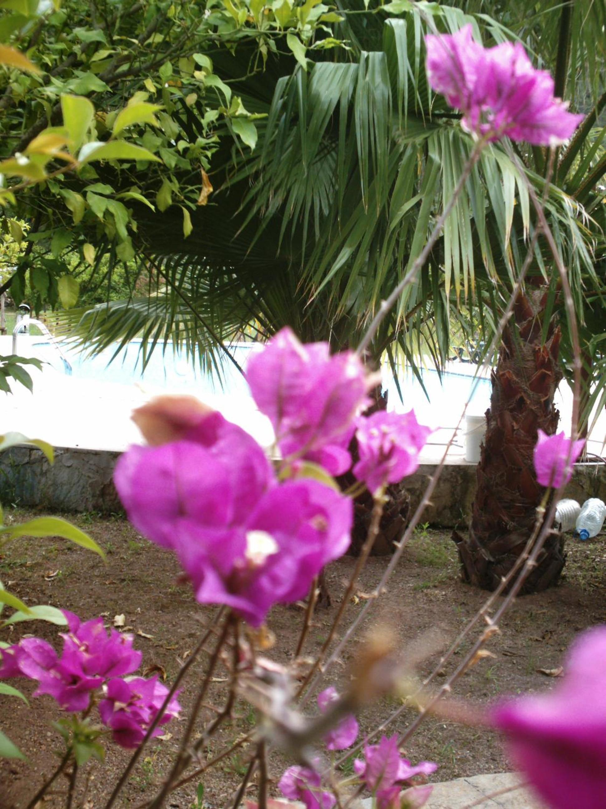 Photo 46