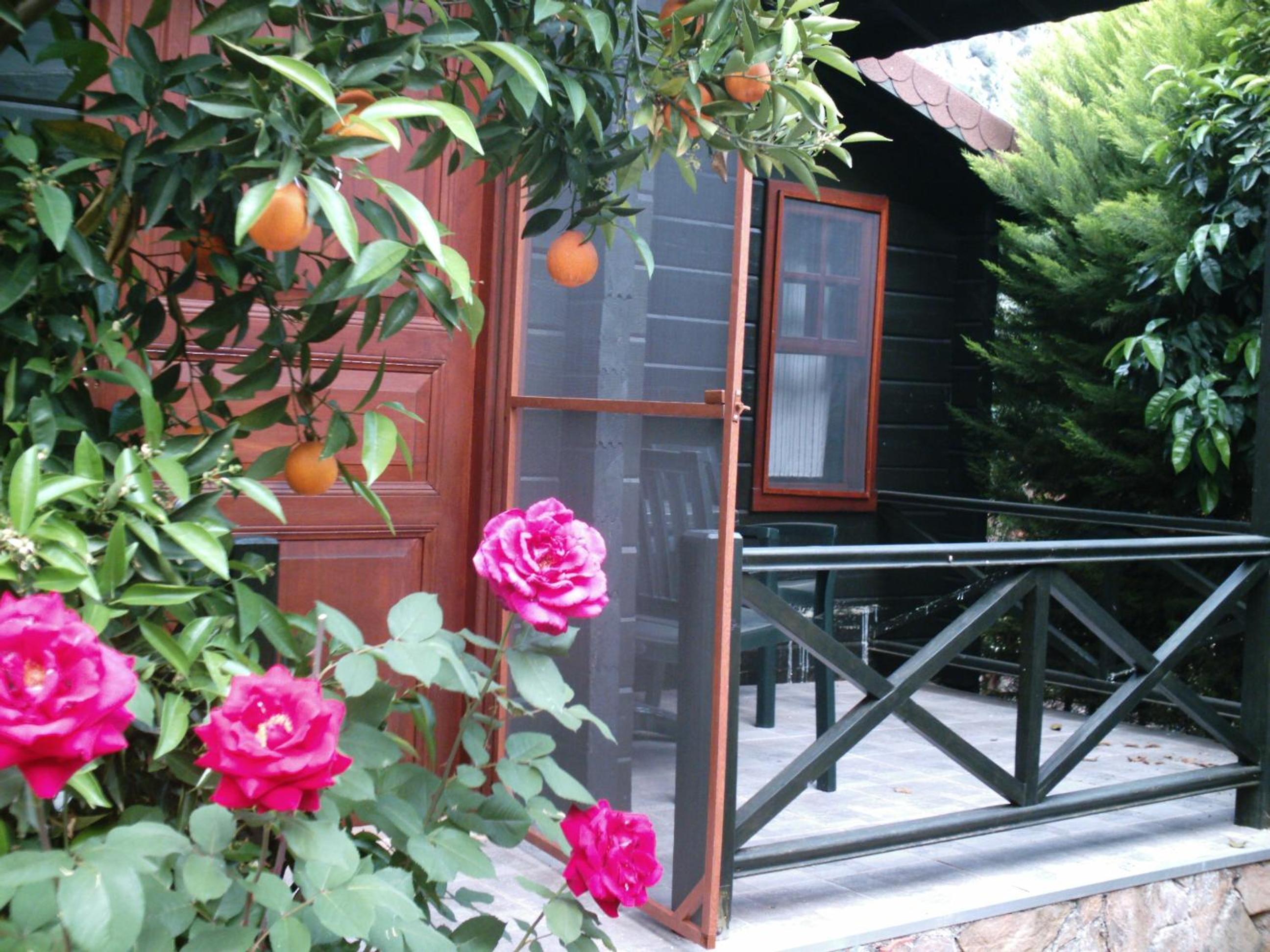 Photo 44