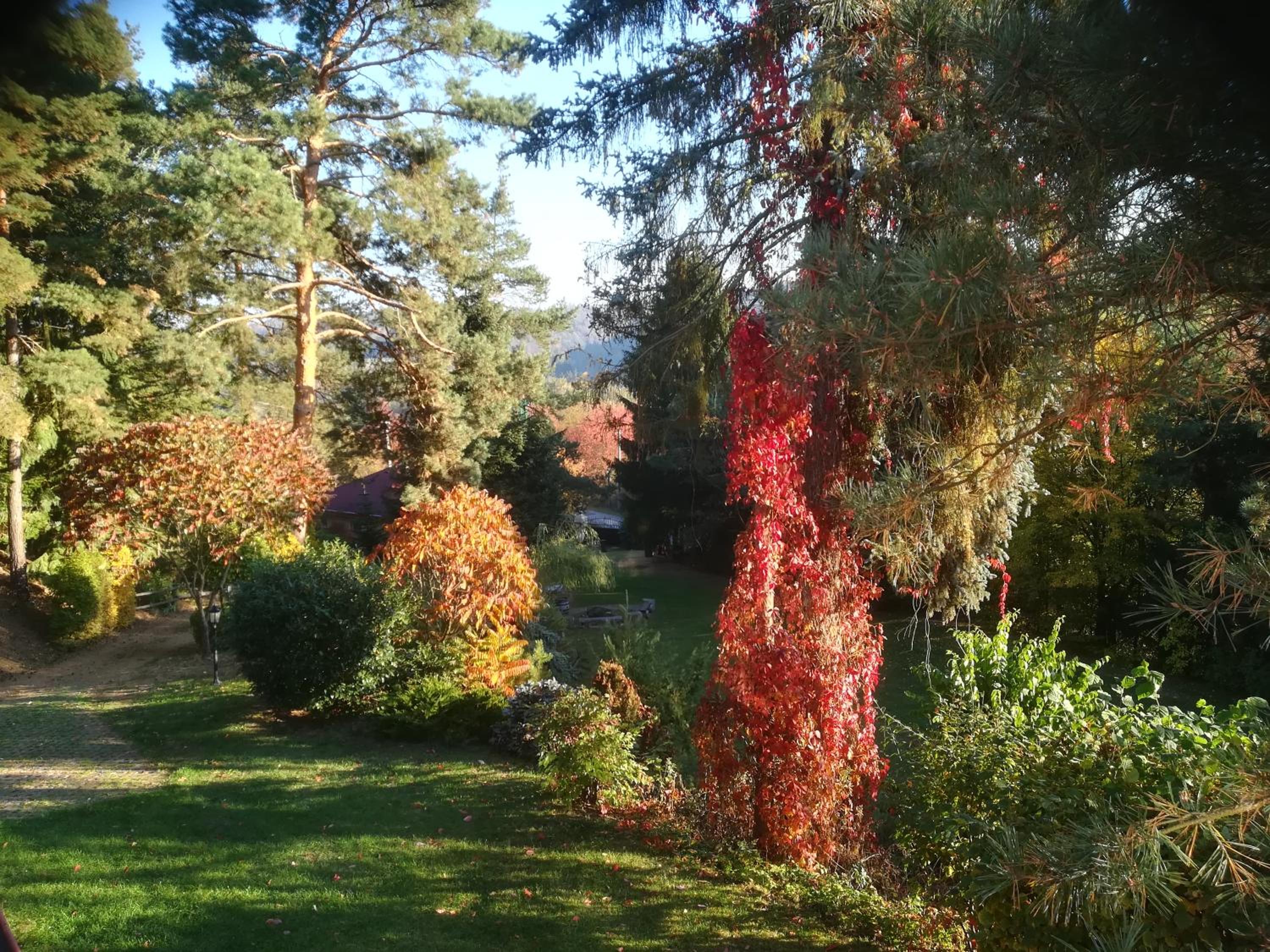 Villa Blanka