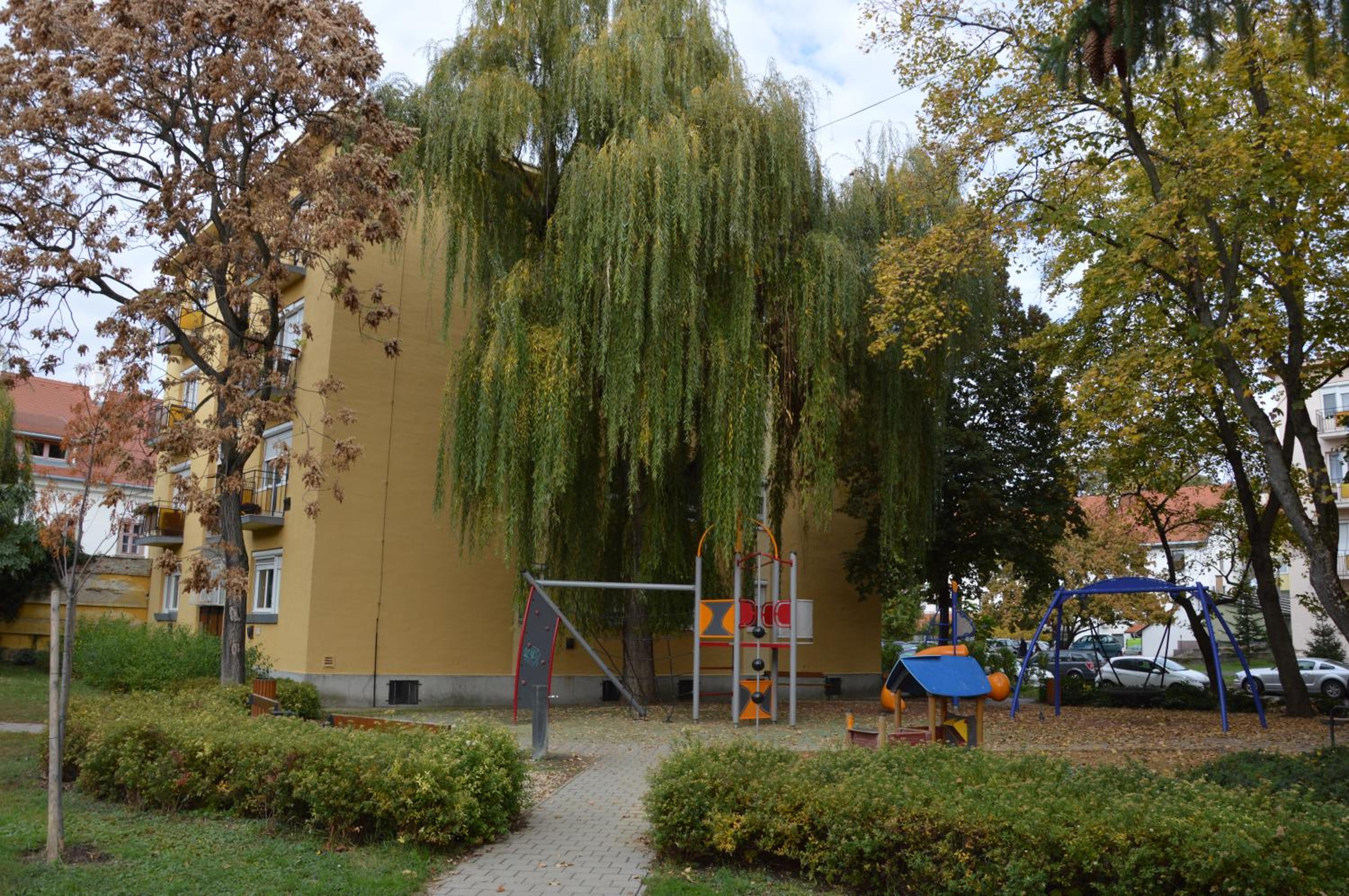 Photo 48
