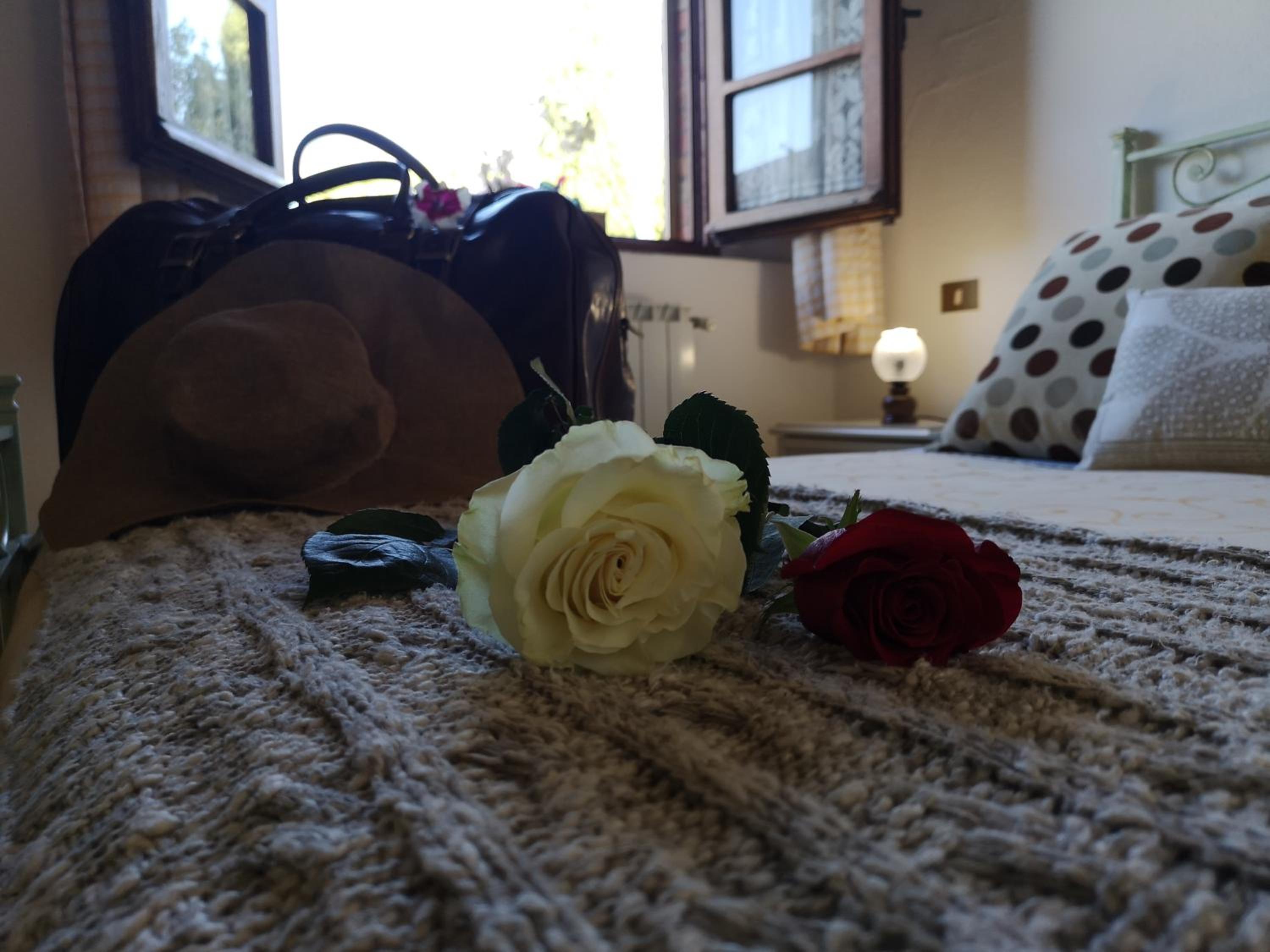Photo 27