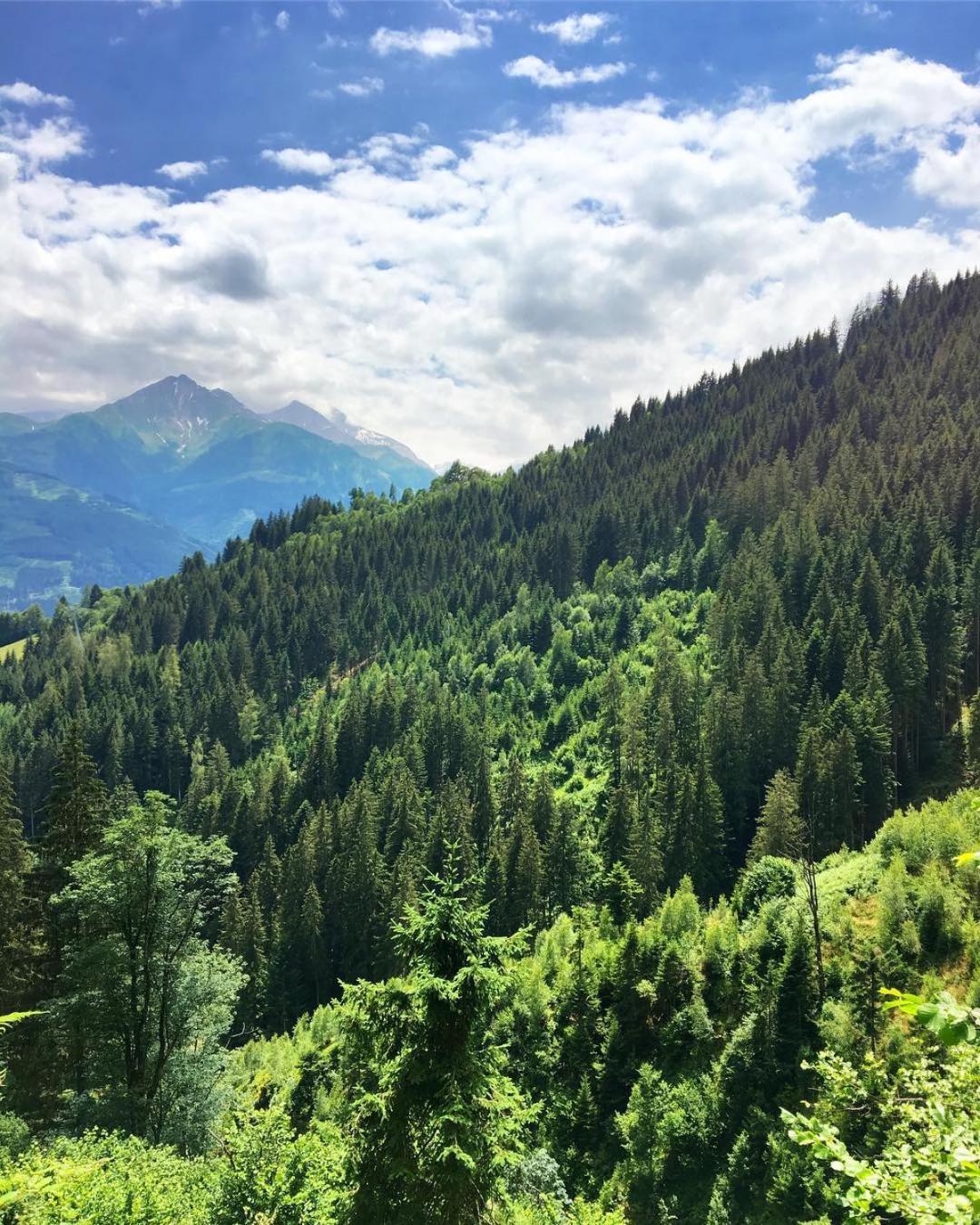 Landhaus Bergner Alm
