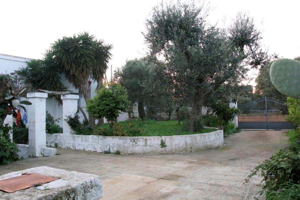 Masseria Fontana Vecchia view 2
