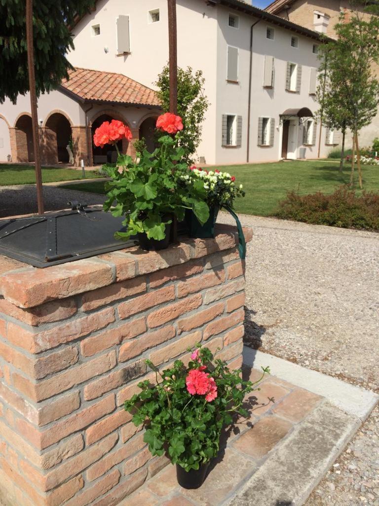 Photo 51
