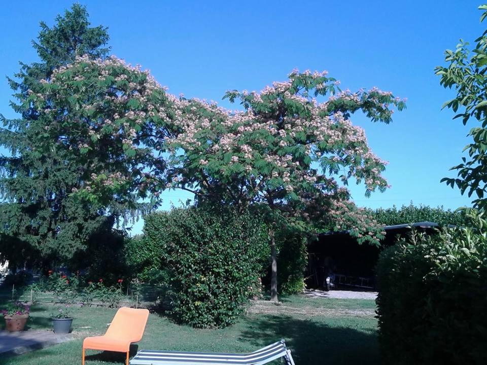 Photo 34