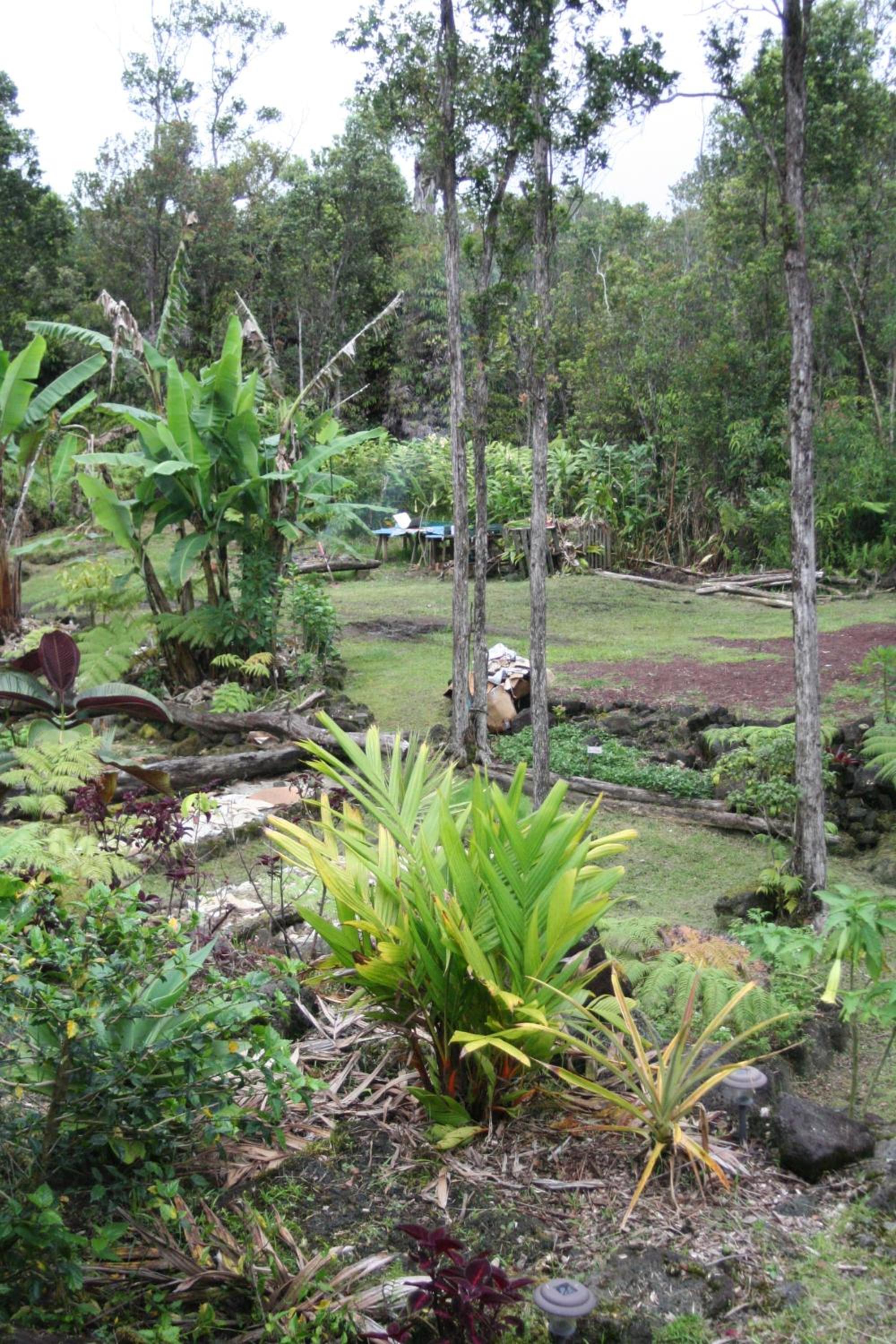 Ixchel Hawaii Volcano