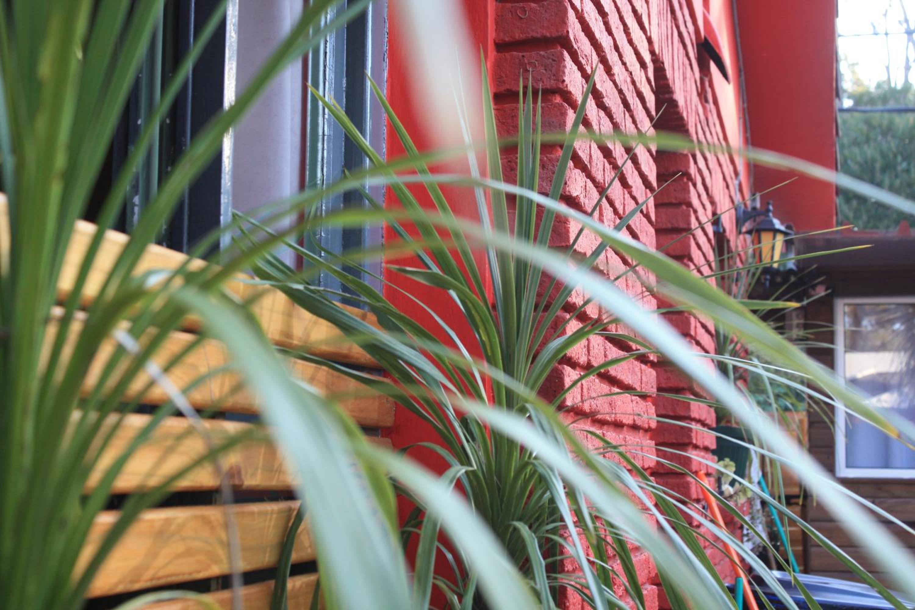 RocaMar Hostel Boutique