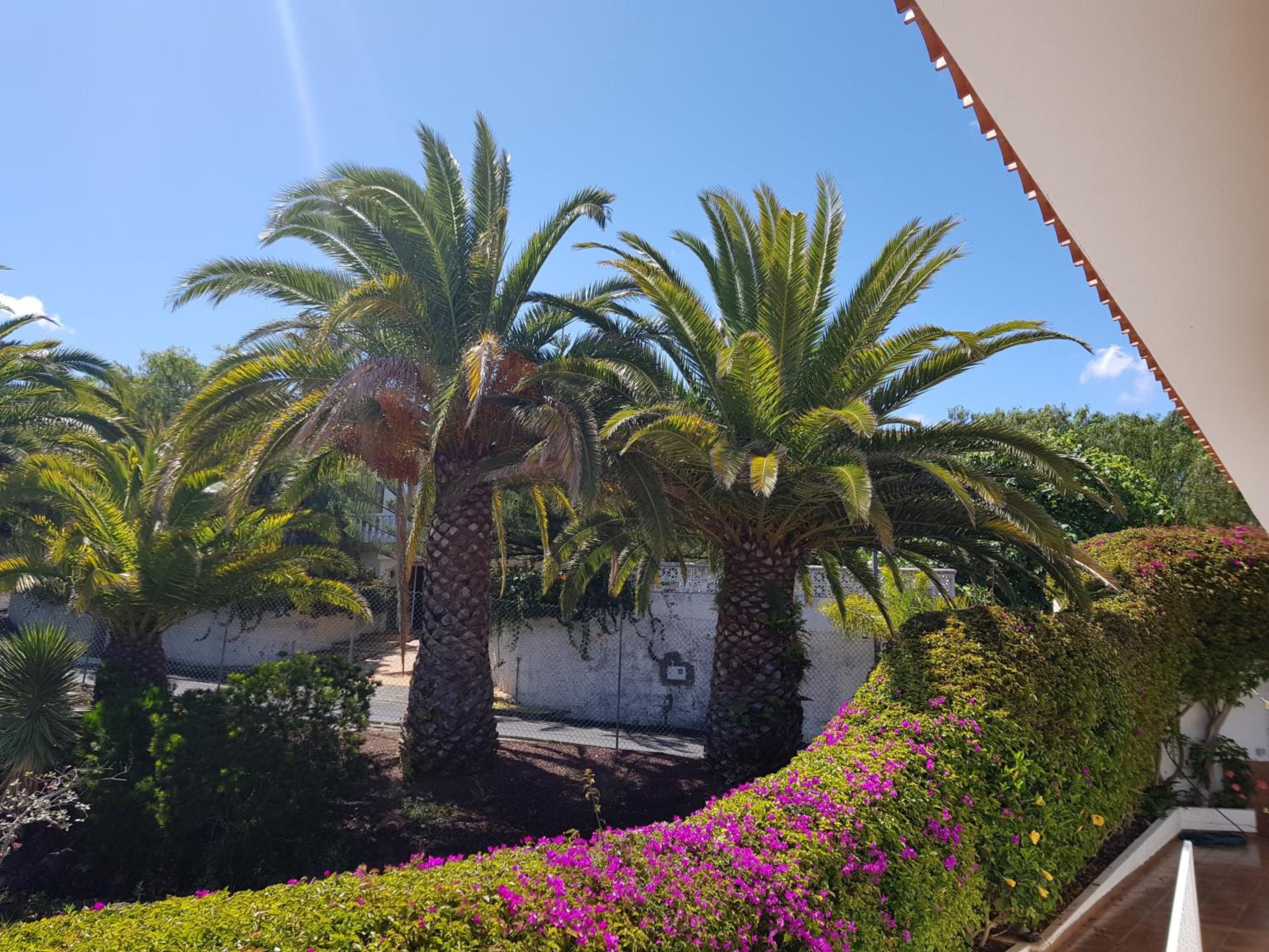Villa Larnia de Tenerife