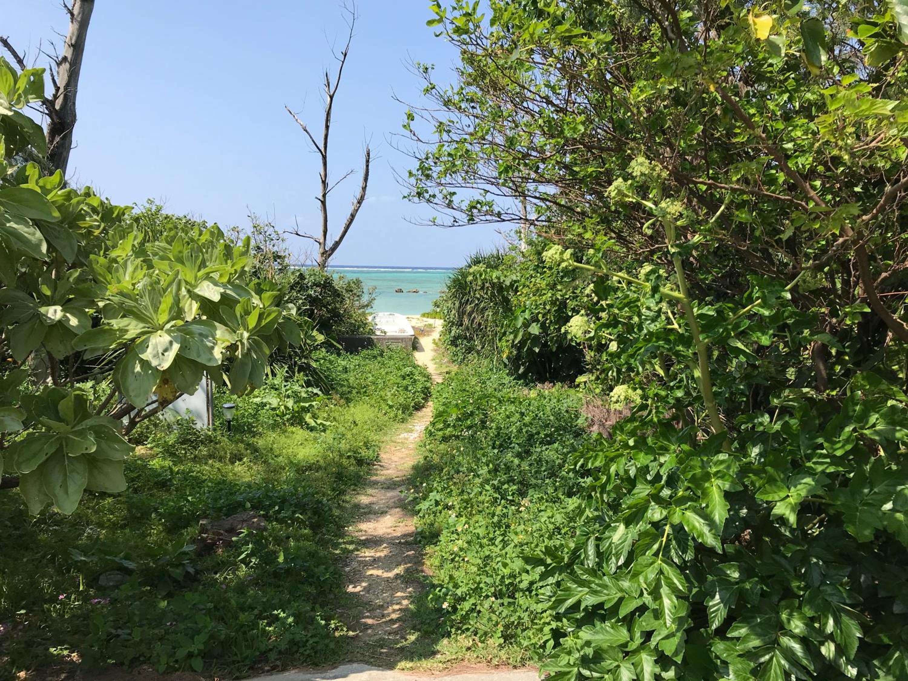 ペンション ラナカイハウス沖縄, fotografía 3