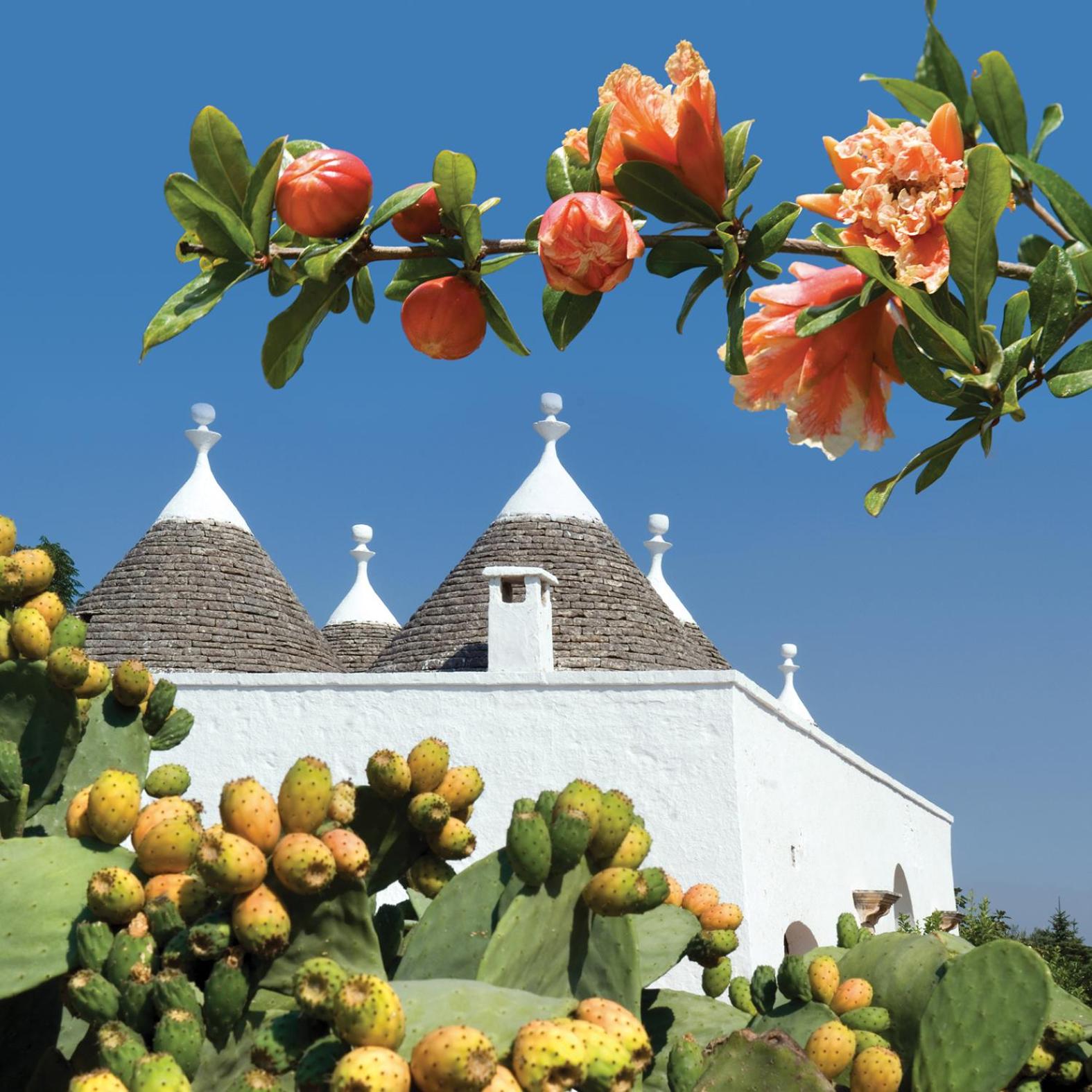 Hotel Don Ferrante