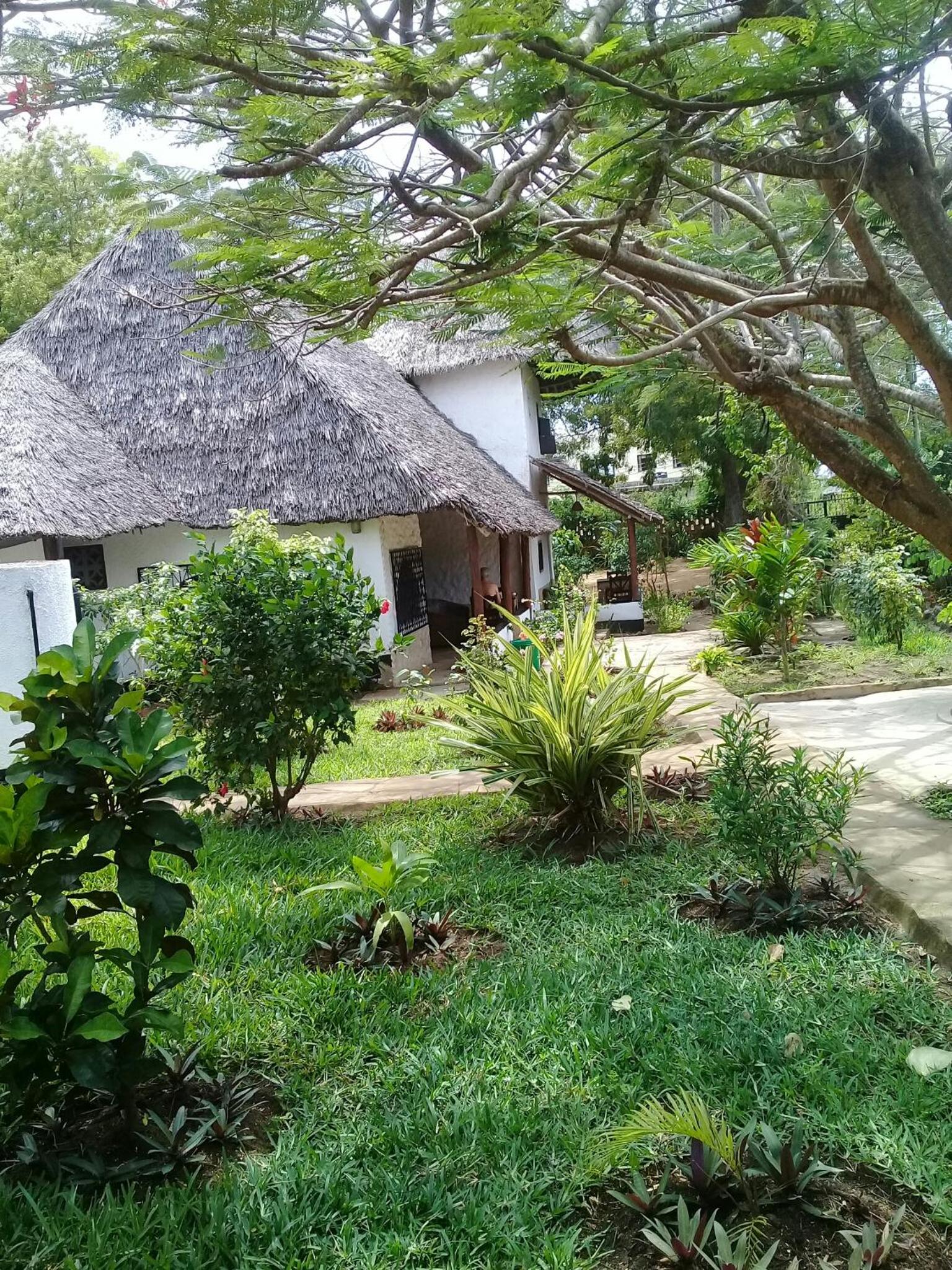 Photo 31
