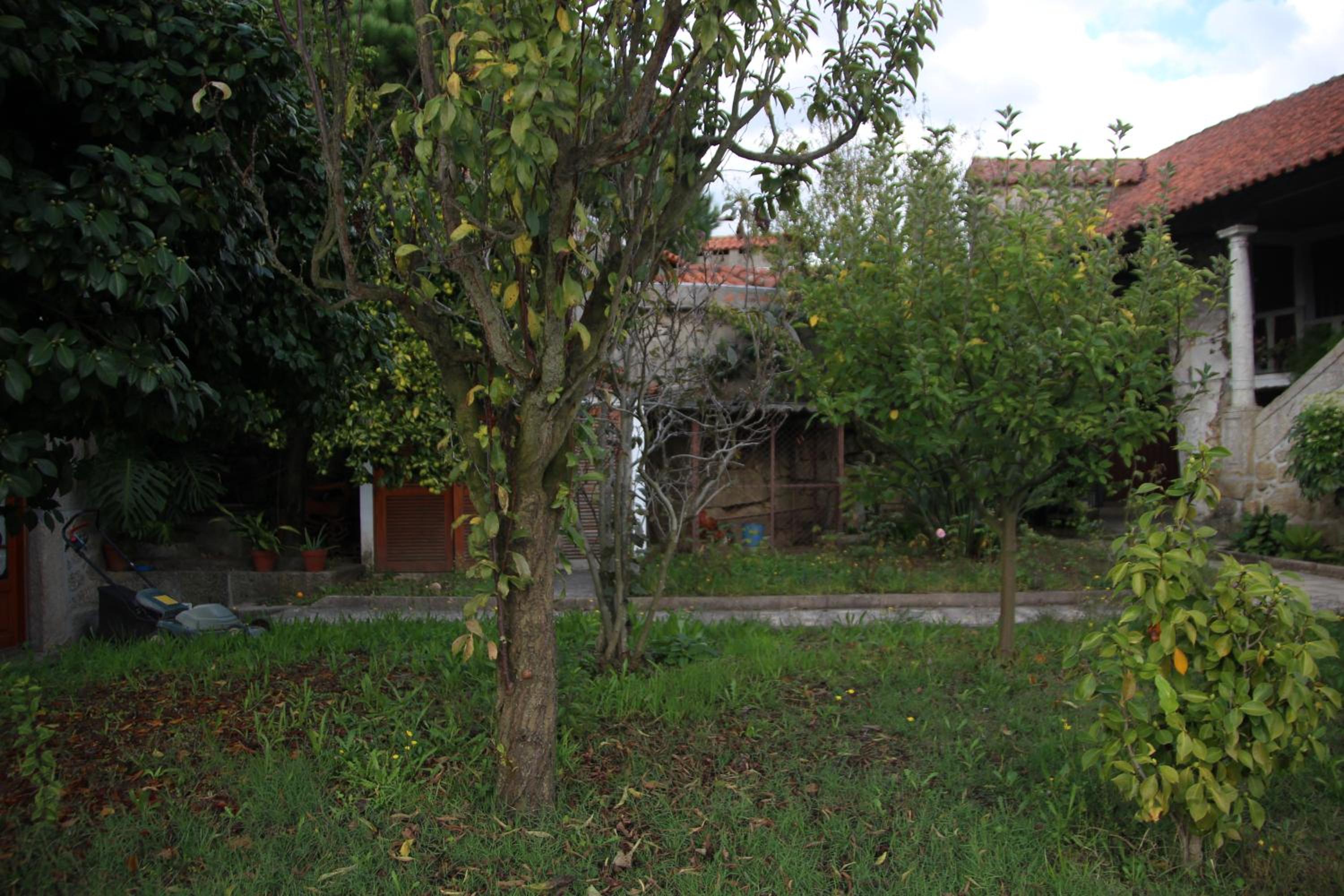 Photo 58