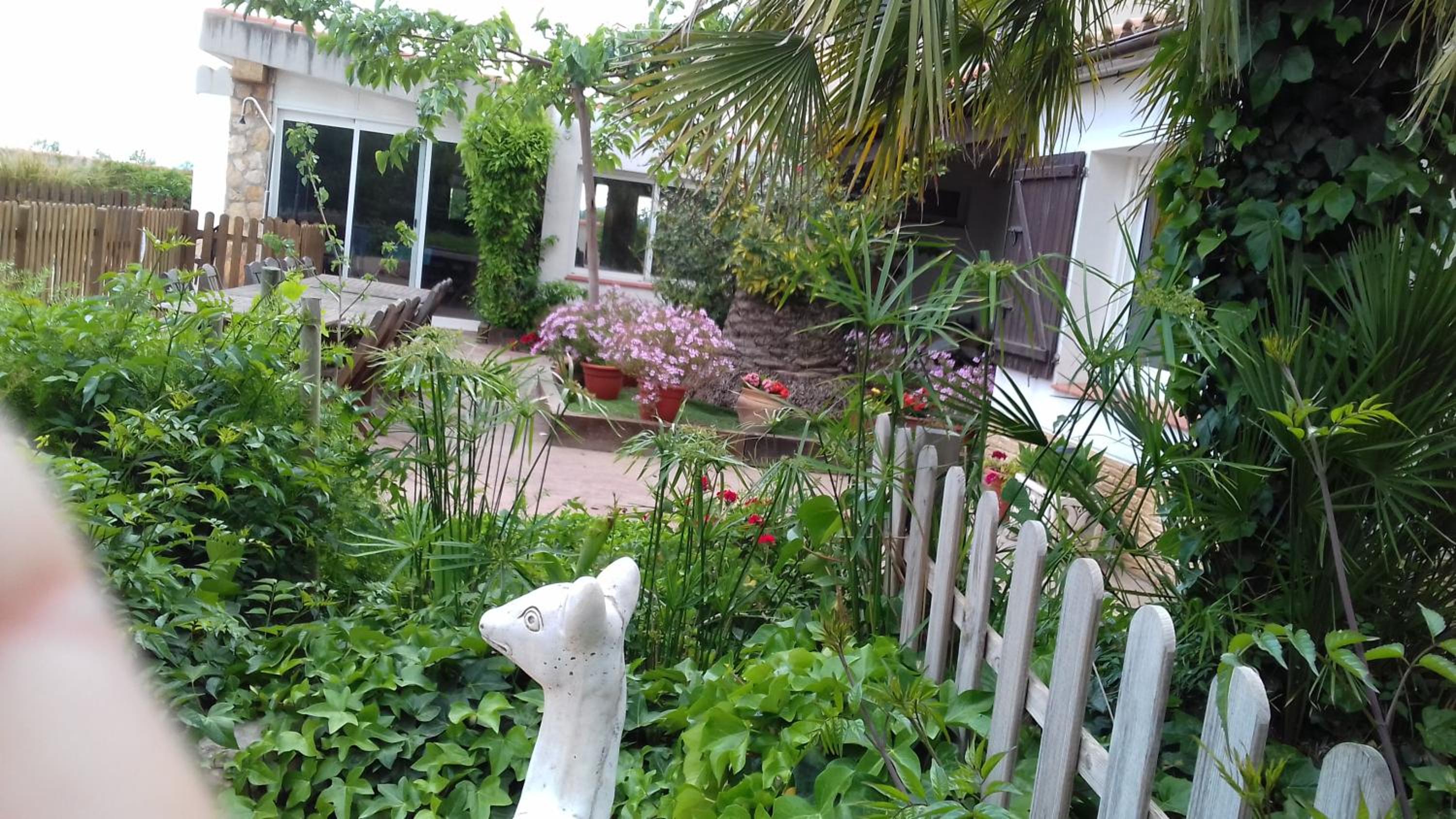 Photo 31